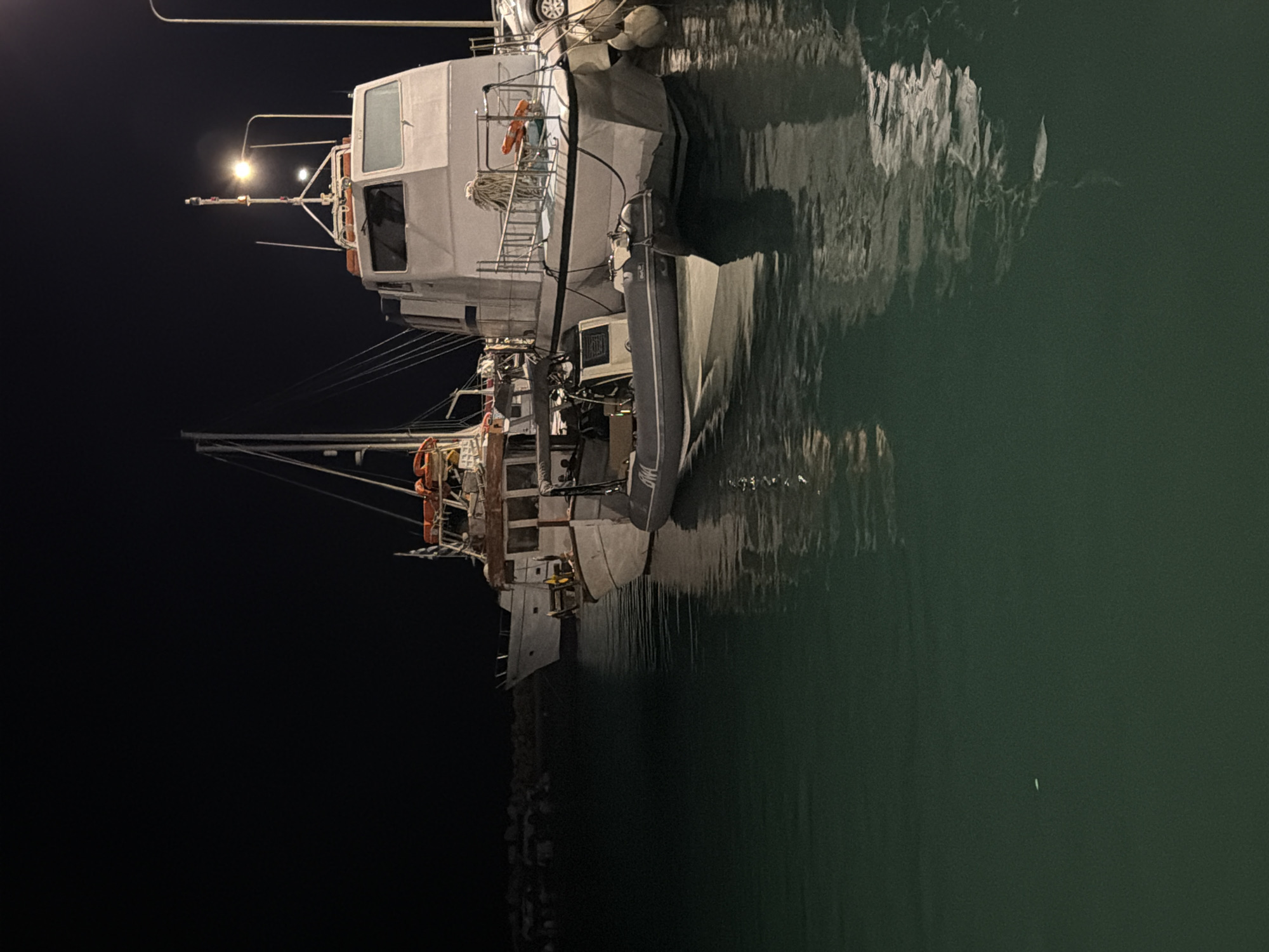 A nighttime scene in the Municipal Unit of Alyzia, Greece, depicts several boats docked in calm, dark green water. The foreground is dominated by the reflection of the boats and a lit lamppost on the water's surface. In the middle ground, a large white vessel with a grey stripe along its waterline is moored. Attached to its side is a smaller, rigid inflatable boat (RIB) with an outboard motor. Behind these vessels, another, older boat with a wooden superstructure and orange life preservers is visible, along with a sailboat mast. The background shows a dark, indistinct shoreline with lights suggesting a populated area. The overall atmosphere is one of quiet stillness in a harbor.