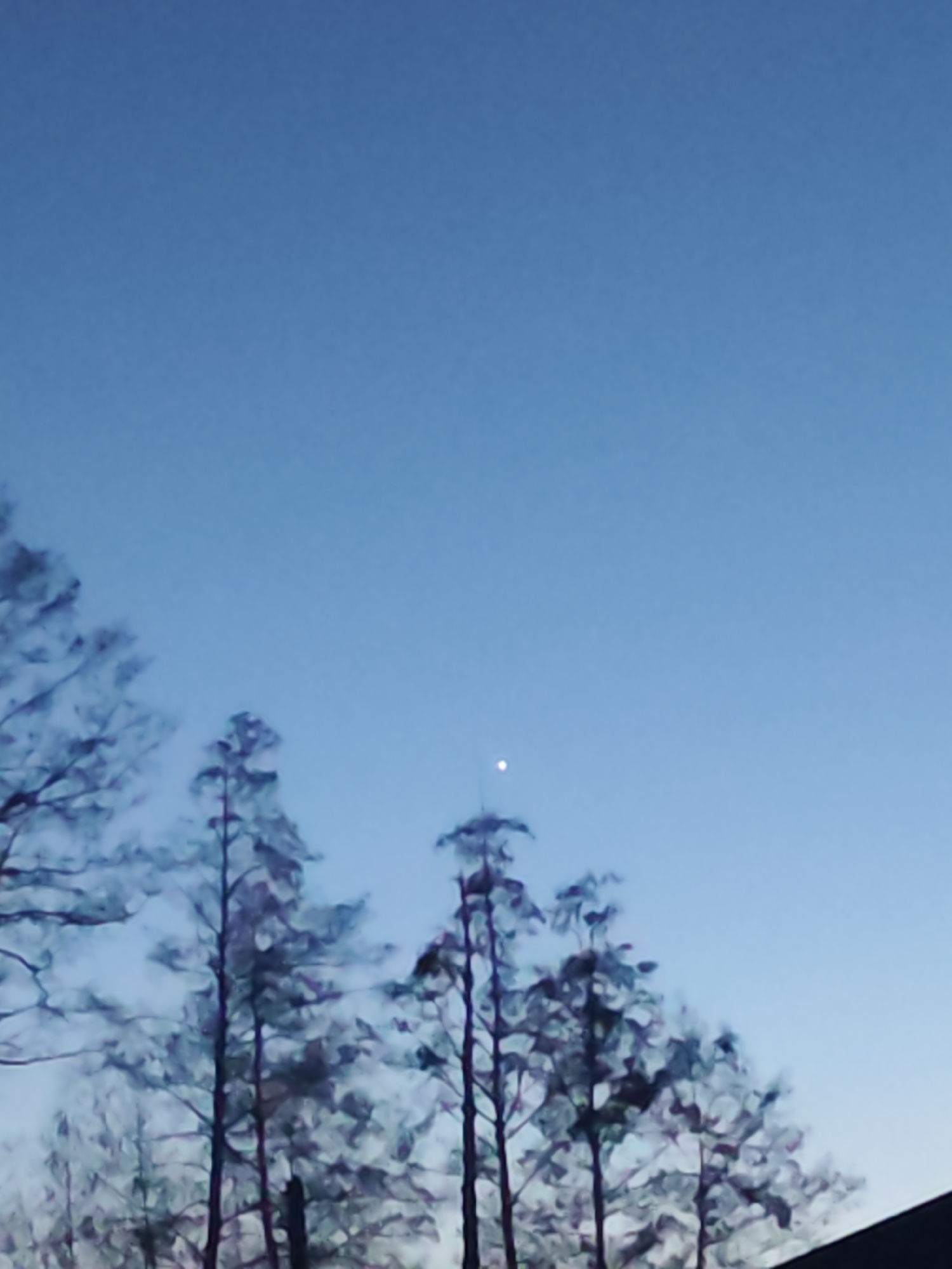The image shows a twilight sky over Chaikovsky, Russia. Dominating the lower part are silhouetted trees. A single, small, bright object, potentially a star or planet, is visible in the otherwise clear, blue-toned sky. The trees appear to be deciduous, with bare branches. The image suggests early morning or late evening, based on the sky's color.