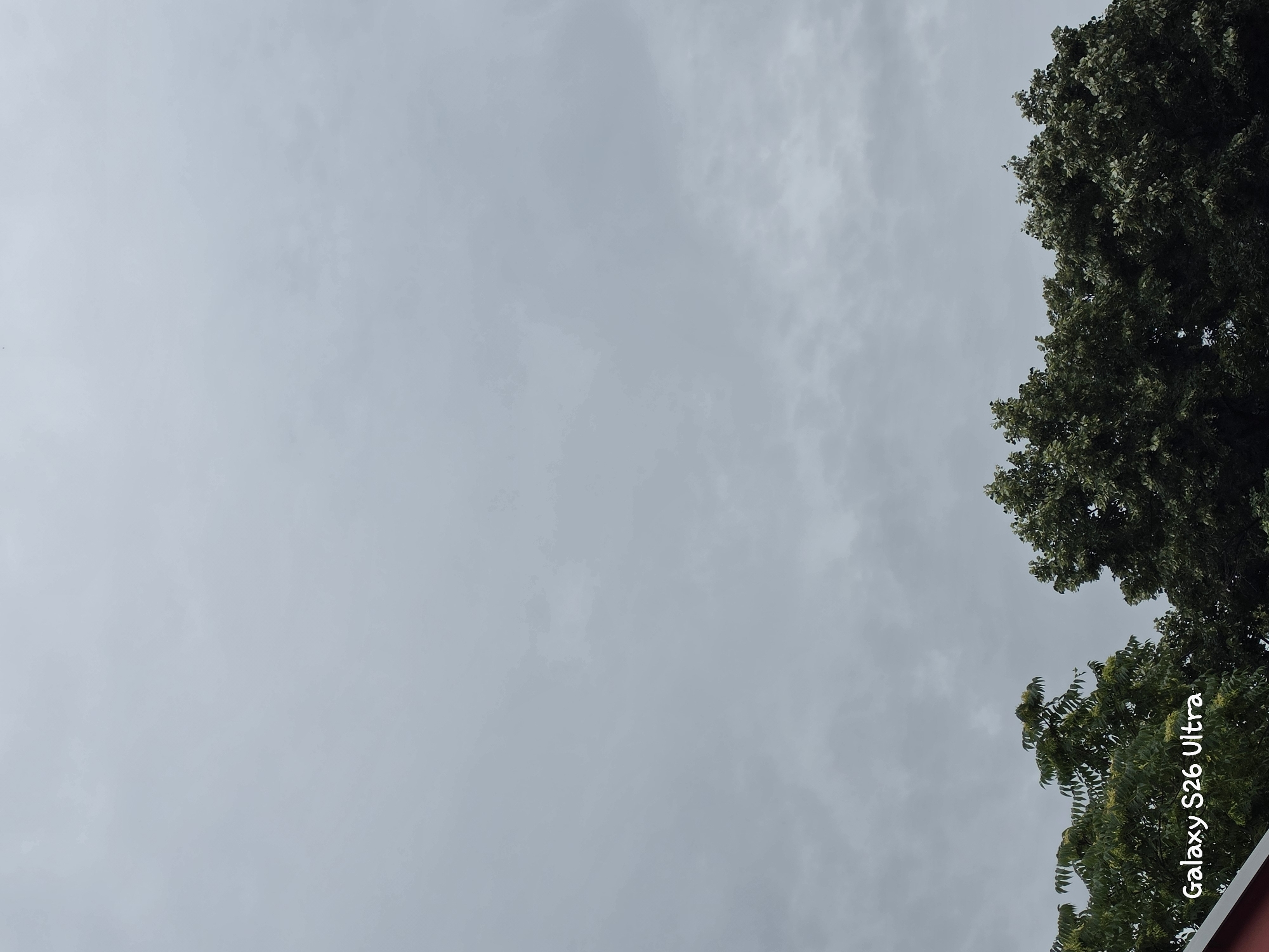 The image shows a cloudy sky with the tops of two trees visible on the right side. The trees are lush and green, with dense foliage. One tree is larger and appears to be older, while the other is smaller and positioned below it. The sky is overcast, with a soft, diffused light suggesting it is daytime. There are no people or specific objects visible in the scene, other than the trees and the sky. The overall impression is one of a calm, natural setting, possibly in a park or garden.
In the bottom right corner of the image, there is text that reads "Galaxy S26 Ultra". This text is likely a watermark or caption indicating the device used to capture the photograph. The red edge of a roof is also visible at the very bottom of the frame.
The weather appears to be cloudy, which could indicate a slightly cooler or more humid day. The location is Plovdiv, Bulgaria, but there are no specific visual cues in the image to confirm this location beyond the provided context. The scene is static and peaceful, with no discernible activity taking place. The emotion conveyed is one of tranquility and natural beauty.
