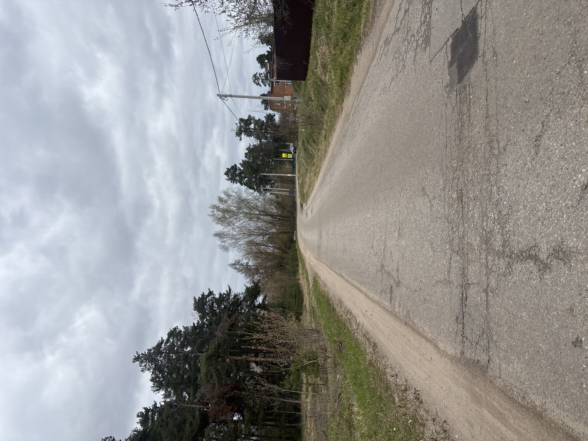 The image shows a narrow asphalt road stretching into the distance under a cloudy sky. The road surface is cracked and patched. On either side of the road is grassy terrain interspersed with trees, including conifers and deciduous trees without leaves. A utility pole runs along one side of the road. A red brick building with a dark roof is visible further down the road. A yellow traffic sign is also present. The photo appears to be taken in a rural or semi-rural area of Раздолье, Russia.