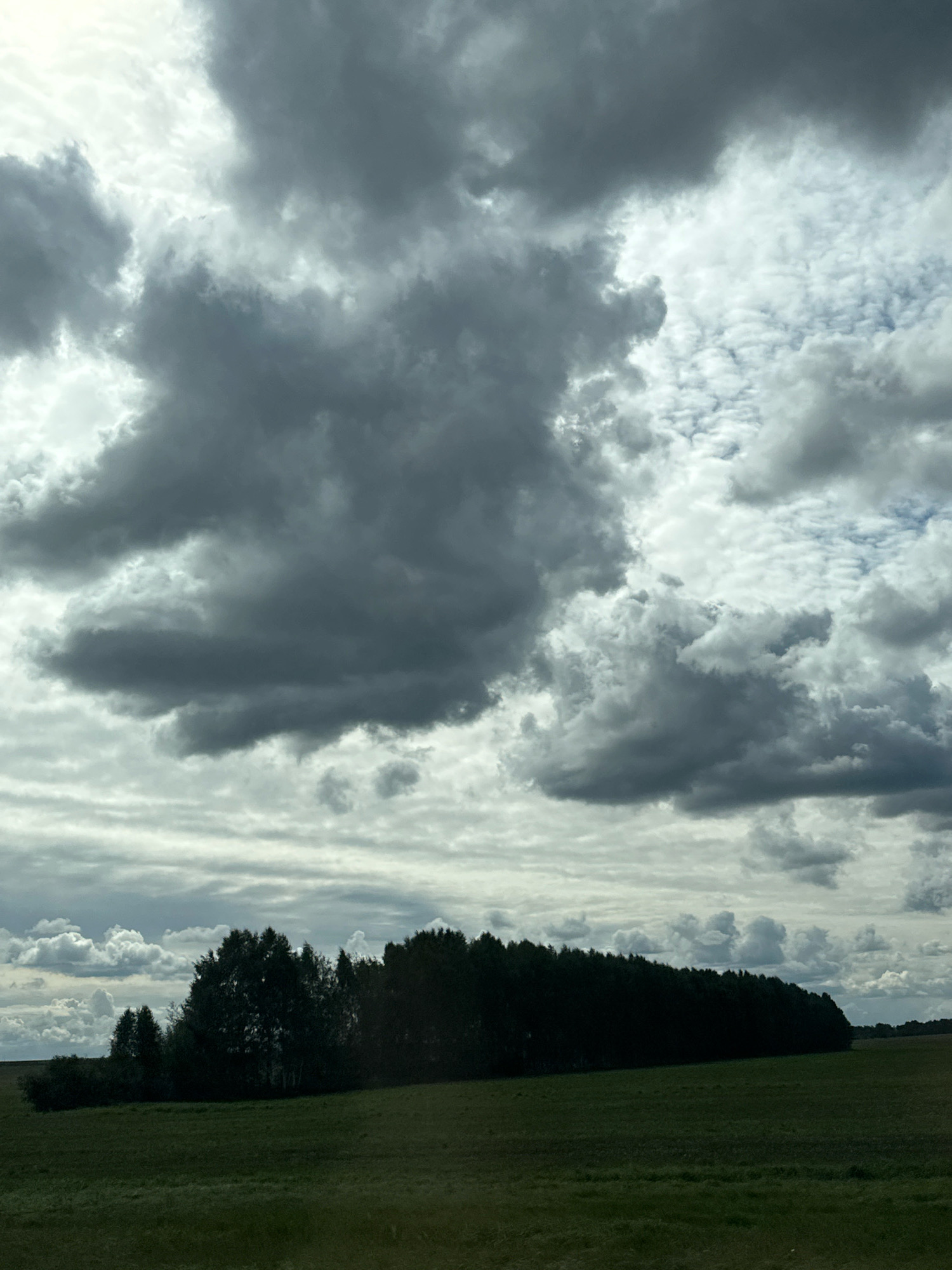 A wide shot captures a landscape under a dramatic, cloudy sky. In the foreground, a dark green grassy field stretches towards a line of dense, dark green trees that forms a natural barrier across the middle ground. The trees appear to be a mix of deciduous and coniferous species, forming a thick, unbroken line that recedes into the distance on the right. The sky above is filled with a variety of clouds, ranging from light, wispy formations to heavy, dark, and imposing storm clouds. The overall lighting suggests either an overcast day or the approach of a storm. The image does not contain any people or visible structures, presenting a natural, undeveloped scene.