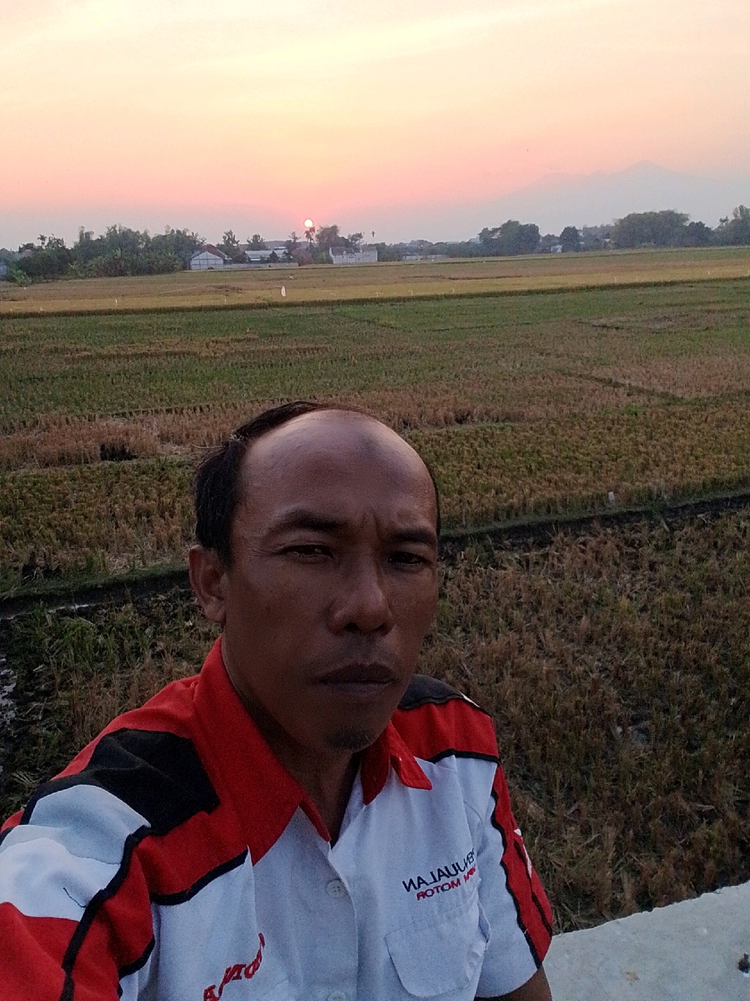A man with a bald head is taking a selfie in a field during sunset. He is wearing a red, white, and black collared shirt with a logo that reads "MAJAJU" and "ROTOM". The background shows a dry rice field, trees, buildings, and mountains in the distance under a pale orange sky. The image is taken in Pasuruan, Indonesia.
