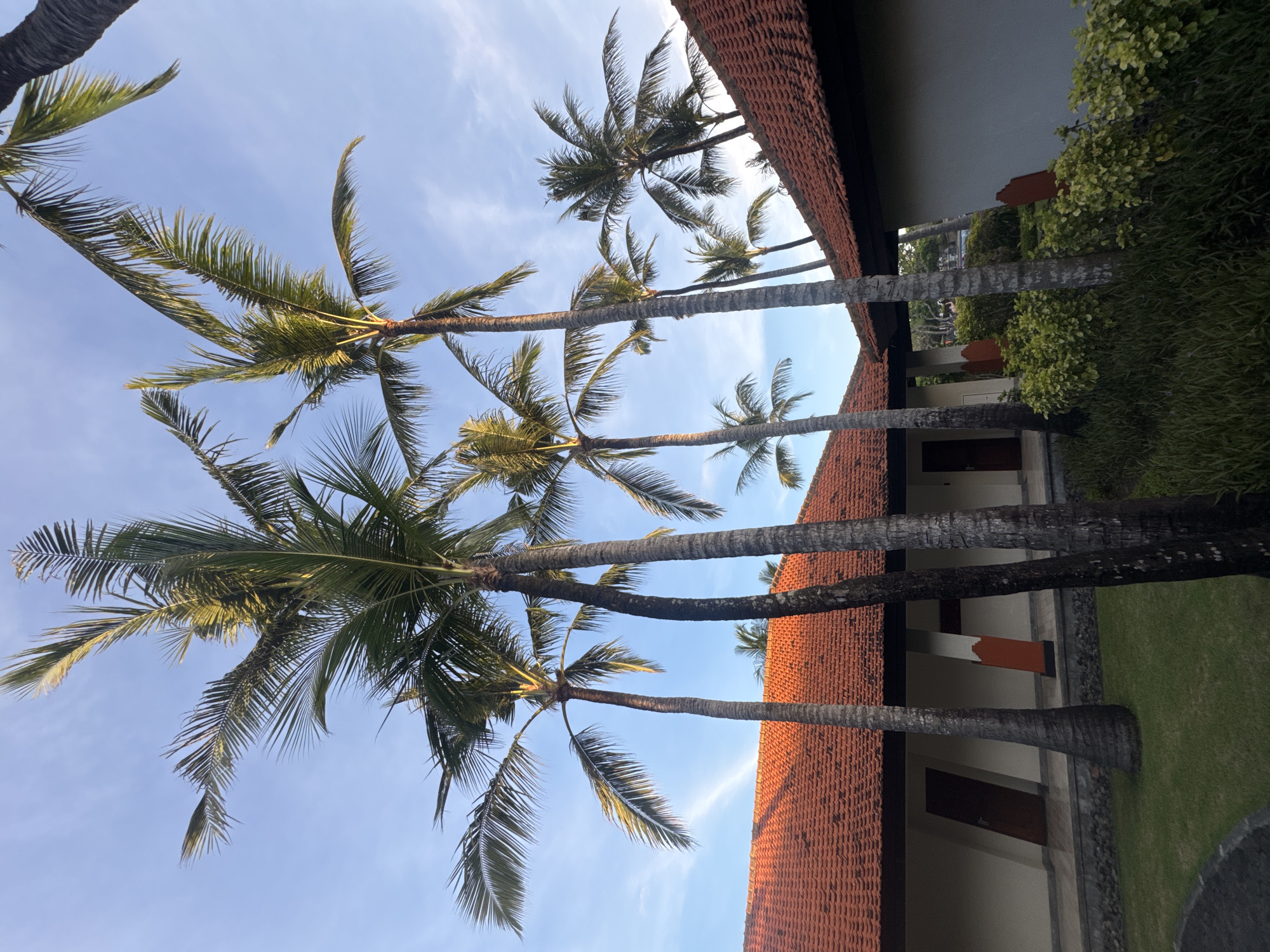 The image shows a row of tall palm trees against a bright blue sky with scattered clouds. The trees are positioned along a building with a red tile roof. The building appears to be a multi-unit structure, possibly a hotel or resort, with visible doors and architectural details. Adjacent to the building is a green lawn area and some foliage. The location can be inferred as Kuta Selatan, Indonesia, due to the tropical characteristics of the image, such as the type of palm trees and building style. There are no people visible in the shot. The primary subjects are the palm trees and the architectural structure.