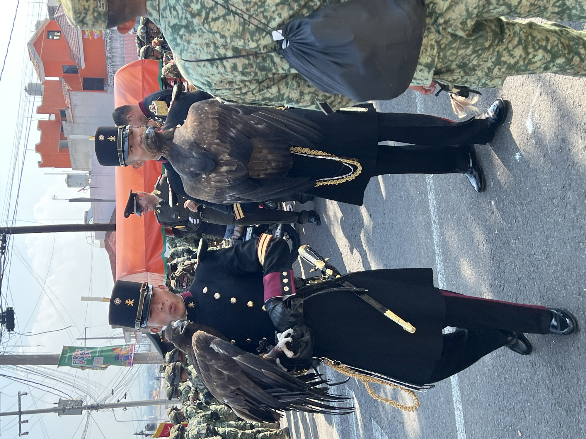 A medium shot shows an unidentified military parade occurring in an unidentified city. The main subject is a person in a dark military uniform, wearing black gloves, holding a live eagle on their arm. The bird of prey is predominantly brown with some white feathers, and is restrained by a chain. The officer's uniform is adorned with gold buttons and epaulets, and their headgear features a distinctive emblem.
In the background, multiple uniformed individuals are visible, indicating a larger military procession. The environment includes urban elements such as overhead power lines and building structures, suggesting an outdoor event. The overall setting conveys a sense of formality and military tradition.