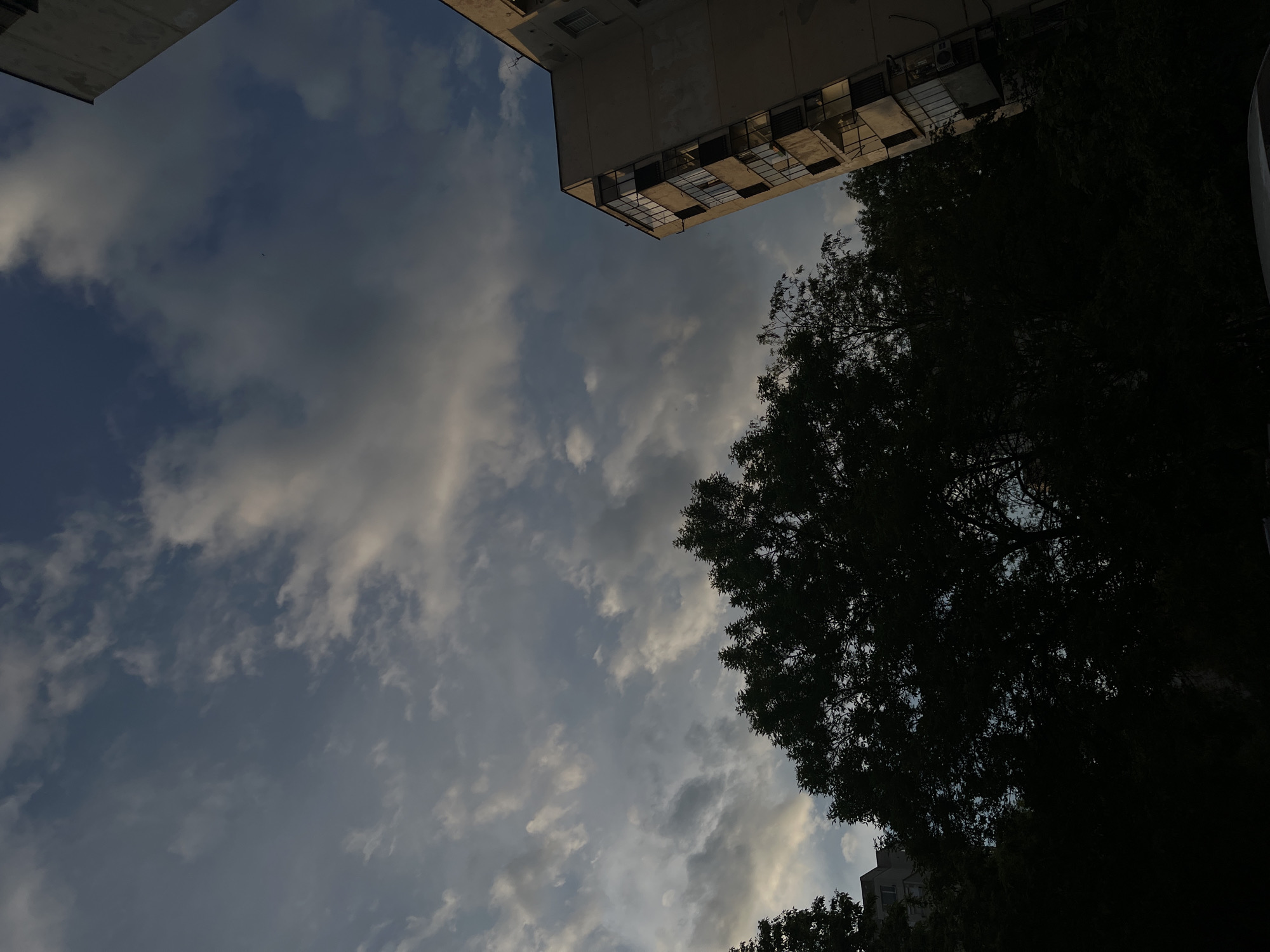 The image is a low-angle shot, looking up at a cloudy sky partially obscured by the silhouette of trees and buildings. The sky is a mix of blue and grey, with light clouds scattered throughout. On the top left corner, there is a concrete building. On the right, a silhouette of trees with dense foliage dominates. This scene could be located in Plovdiv, Bulgaria, given the architectural style of the building and the typical foliage found in the city. The image appears to be taken during twilight, based on the overall lighting. There are no people visible.
