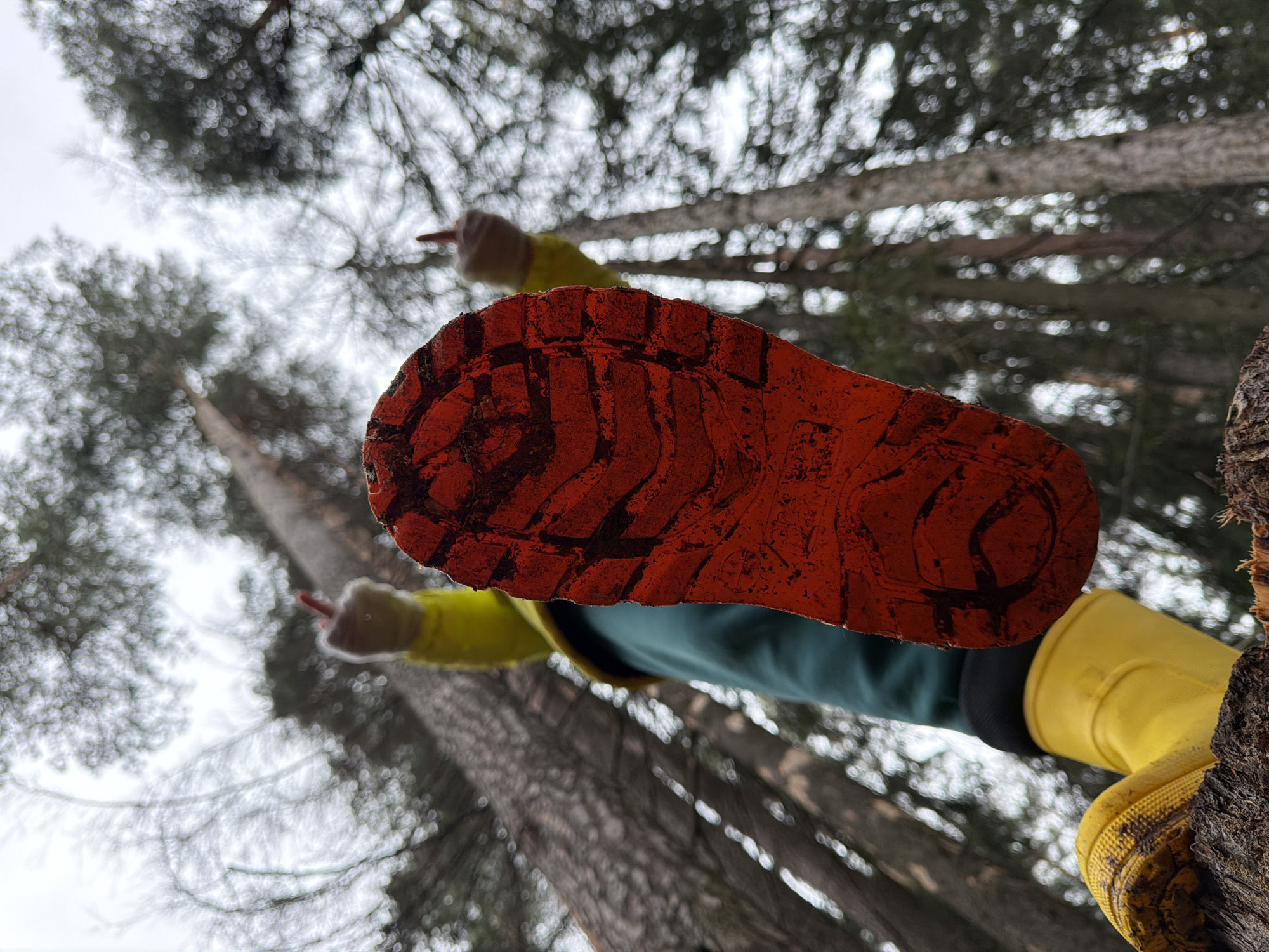 A low-angle shot taken in a forest or wooded area, likely in an outdoor recreational space rather than an urban environment. The perspective is from the ground looking upward. A person is elevated above the camera, and their boot sole is prominently featured in the foreground. The sole is orange with a textured tread pattern. The person is wearing yellow boots, green pants, and a yellow jacket. The person has both hands pointing straight up with only one finger extended. In the background, there are tall trees that are unfocused. The sky is overcast. The location is not evident to be Chaikovsky, Russia, from the photo.