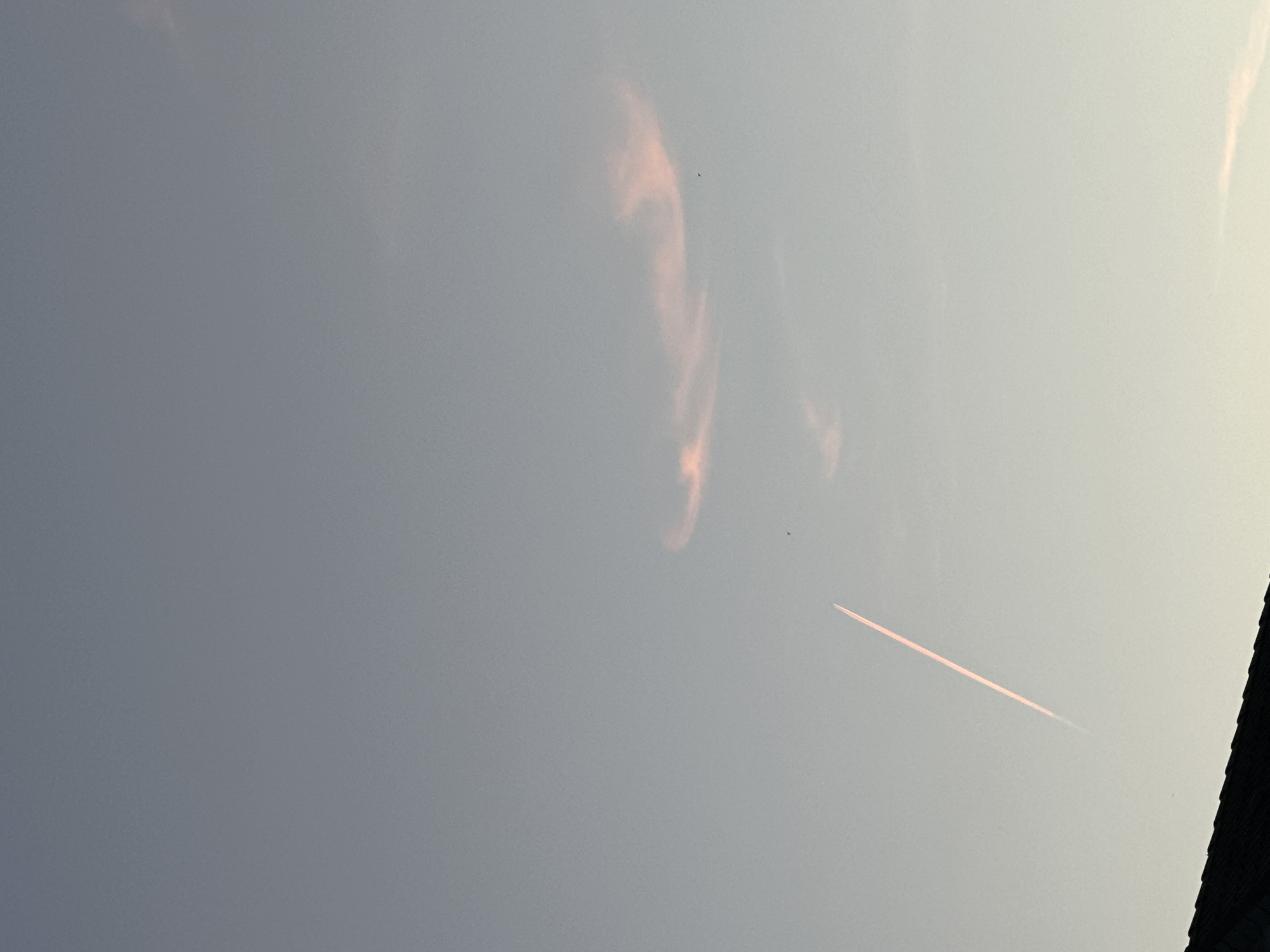 The image shows a sky with a faint pinkish hue, suggesting it was taken during sunset or sunrise. A long, thin contrail from an airplane stretches diagonally across the frame from the bottom left towards the top right. Above and to the right of the contrail, a wispy cloud formation is visible, also tinged with pink. Two small dark specks, possibly birds or distant aircraft, are present in the sky. The bottom edge of the image is occupied by the dark silhouette of a rooftop. The scene appears to be an outdoor, aerial view of the sky.