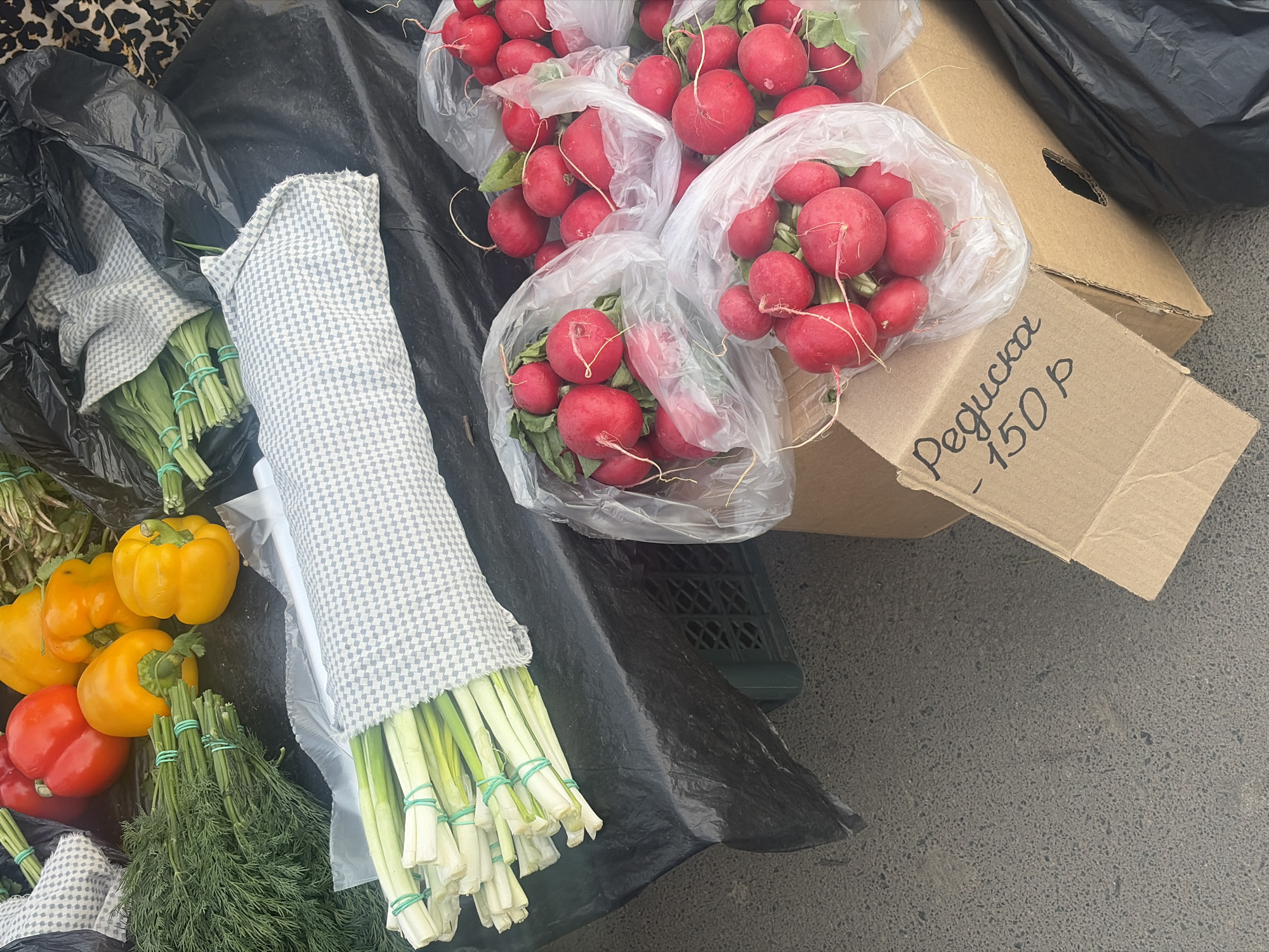 The image presents a vendor's stall, likely at a farmers' market or temporary retail location. On display are several food items. There are bundles of radishes in plastic bags; a cardboard sign nearby reads, "Редиска - 150 Р" (Radish - 150 R), indicating the price in Russian rubles. To the left are yellow and red bell peppers. Bundles of green onions and dill are wrapped in green rubber bands and covered with a grey-and-white checkered cloth. A black plastic bag is also present. The scene appears to be on a concrete or asphalt surface. The location is likely in Saint Petersburg, Russia, based on the currency and language on the sign. The image suggests a scene of fresh produce being sold.
