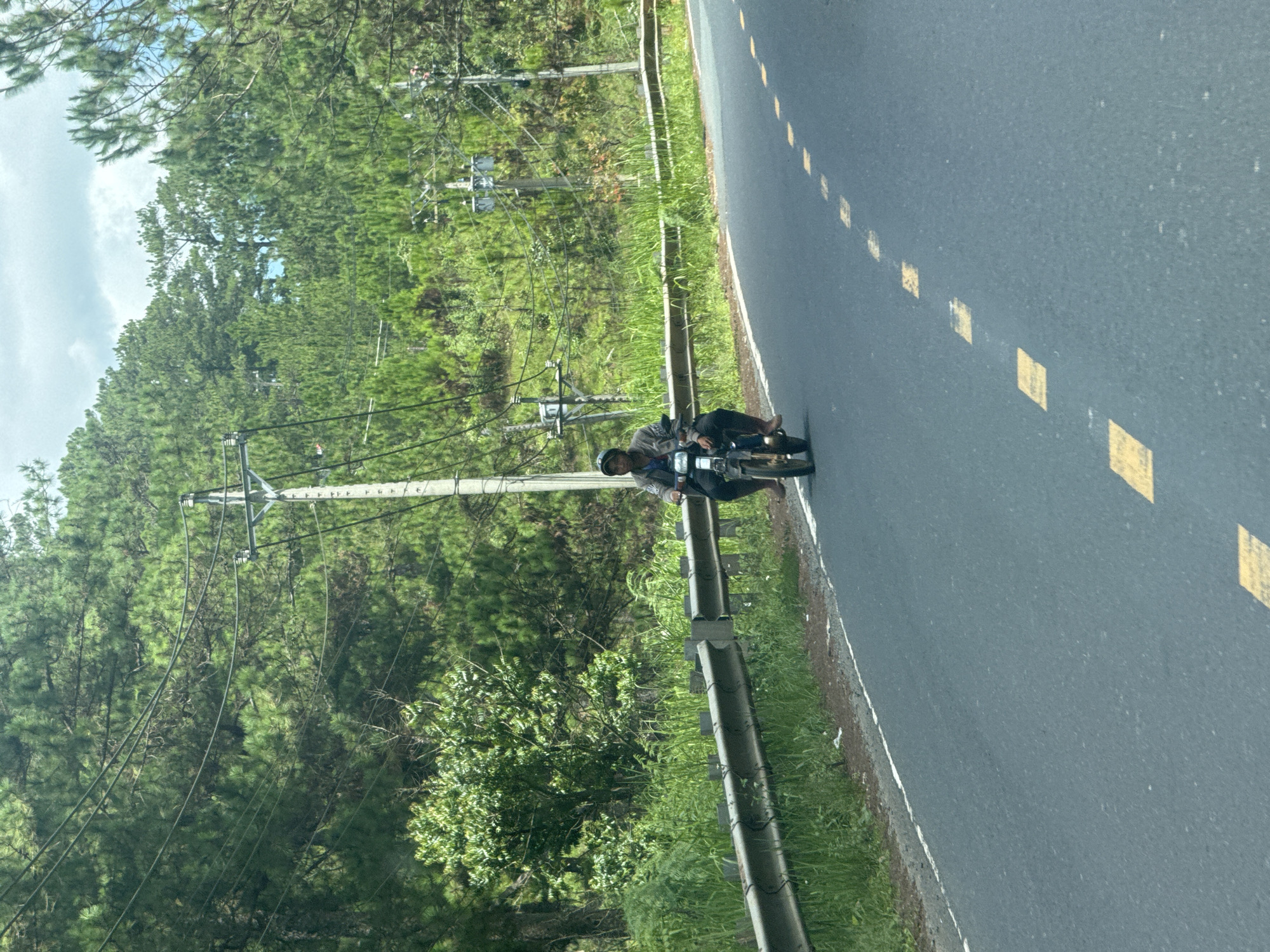 A person rides a motorcycle on a paved road lined with a metal guardrail and lush green vegetation, including tall pine trees and smaller shrubs. Power lines crisscross above the road, supported by utility poles. The road has intermittent yellow dashed lane markings. The person on the motorcycle is wearing a helmet and a jacket and is the sole occupant of the vehicle. The sky is partly cloudy. The scene appears to be in a rural or mountainous area, consistent with locations like Thôn 6, Vietnam.