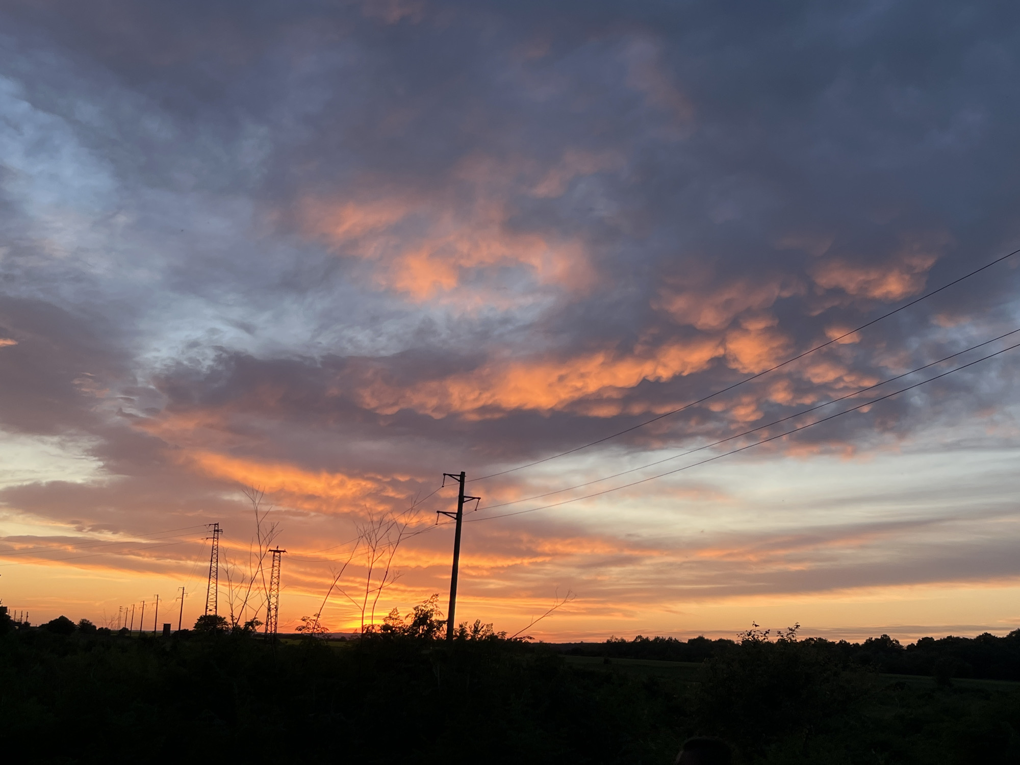 The image depicts a sunset scene, likely in or near the city of Pchelnik, Bulgaria, as indicated by the presence of utility poles characteristic of rural areas. The sky is filled with clouds, illuminated in shades of orange, pink, and grey by the setting sun. These clouds transition from darker, more overcast tones at the top to brighter, more vivid hues near the horizon.
Silhouetted against the bright sky is a row of trees and vegetation along the horizon line. Utility poles with power lines stretch across the sky, adding a man-made element to the natural landscape. The foreground is predominantly dark, suggesting dense vegetation or unlit terrain.