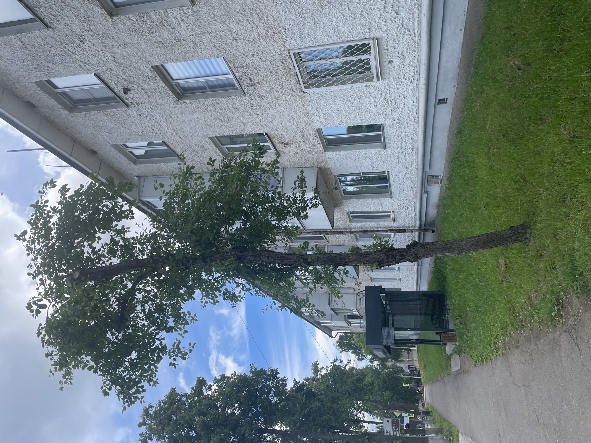 The image depicts a residential building and its surroundings in Chaikovsky, Russia. The building is a multi-story structure with a textured white facade, featuring several windows, some with protective grilles. In front of the building, there is a sidewalk and a patch of grass. A bus stop shelter with dark glass panels is situated along the sidewalk. A tree with sparse foliage stands prominently in the foreground, leaning slightly towards the right. Several other trees line the street. The sky is partly cloudy. There are no people visible in the image.
