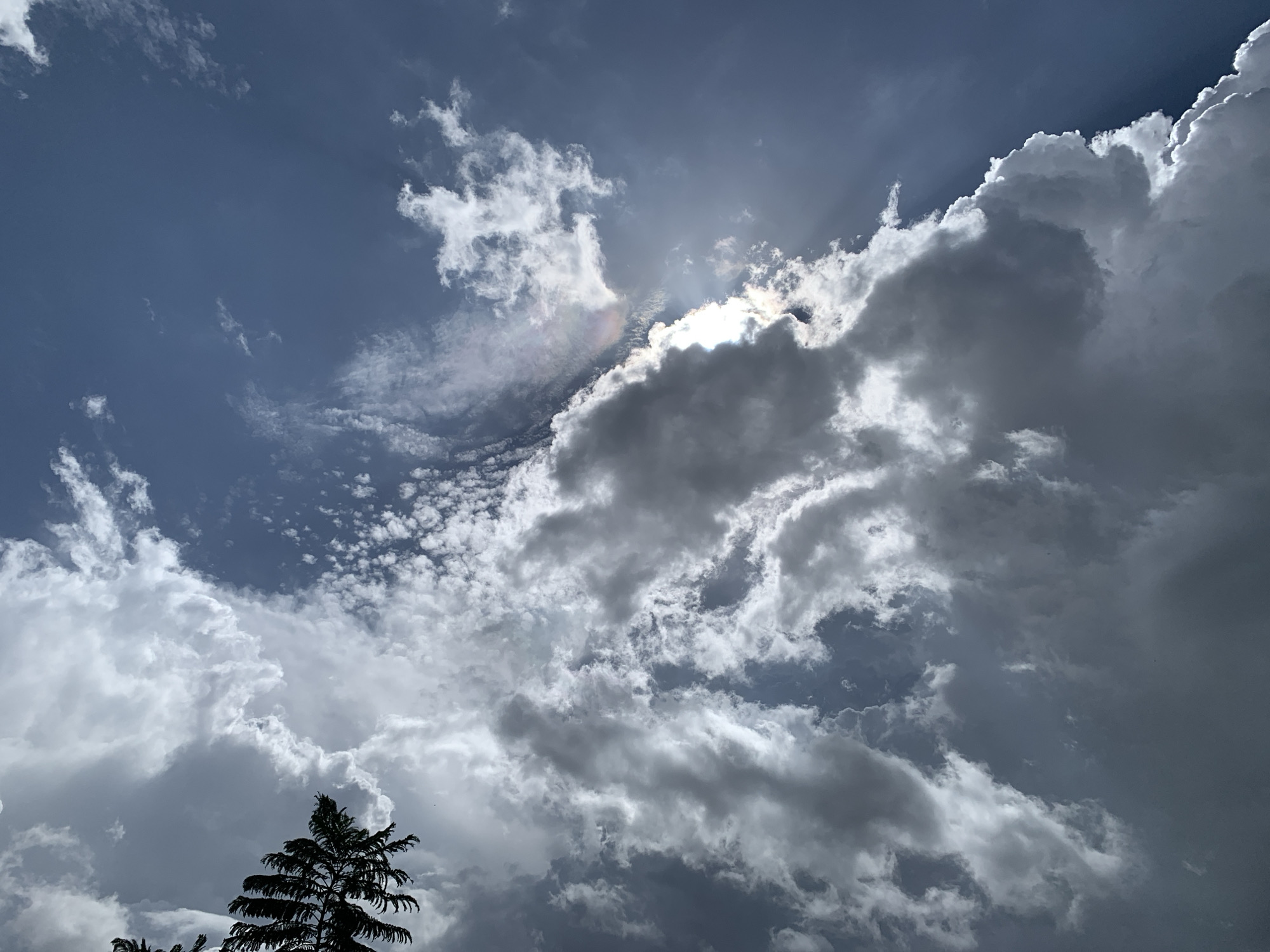 A photograph captures a sky filled with dramatic, textured clouds. The sun is partially obscured by a large, bright white cloud on the right side of the frame, creating a lens flare and casting rays of light downwards. A faint rainbow or halo effect is visible within the clouds near the sun. The sky transitions from a deep blue at the top to lighter shades as it approaches the horizon, where a silhouetted evergreen tree with distinctive, feathery foliage stands in the lower left quadrant. The overall impression is of a dynamic and atmospheric sky, possibly indicative of an approaching storm or the aftermath of one. This scene is located in Kuru Karama, Nigeria.