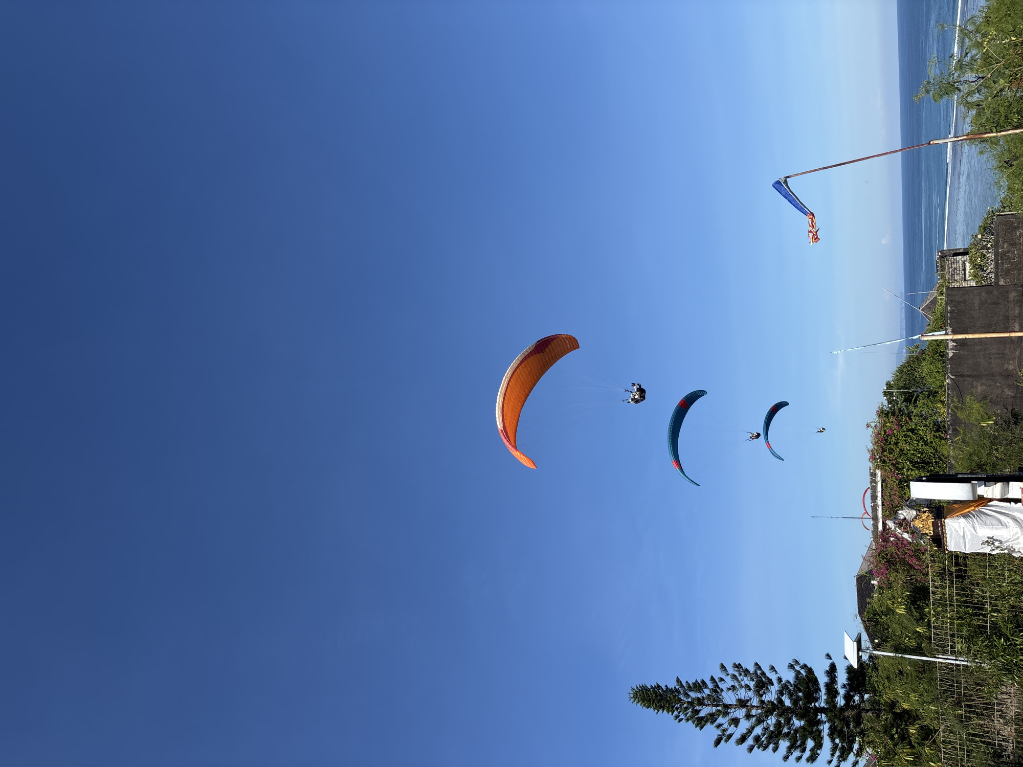The image shows three paragliders in flight in Kuta Selatan, Indonesia. The paragliders are soaring in a clear, blue sky. The closest paraglider has a tan and orange canopy. The next two paragliders have blue and red canopies. From the foreground, there is a pine tree in the bottom left corner, leading up to a grassy cliff overlooking the ocean. There is a weather vane in the top right corner of the image.