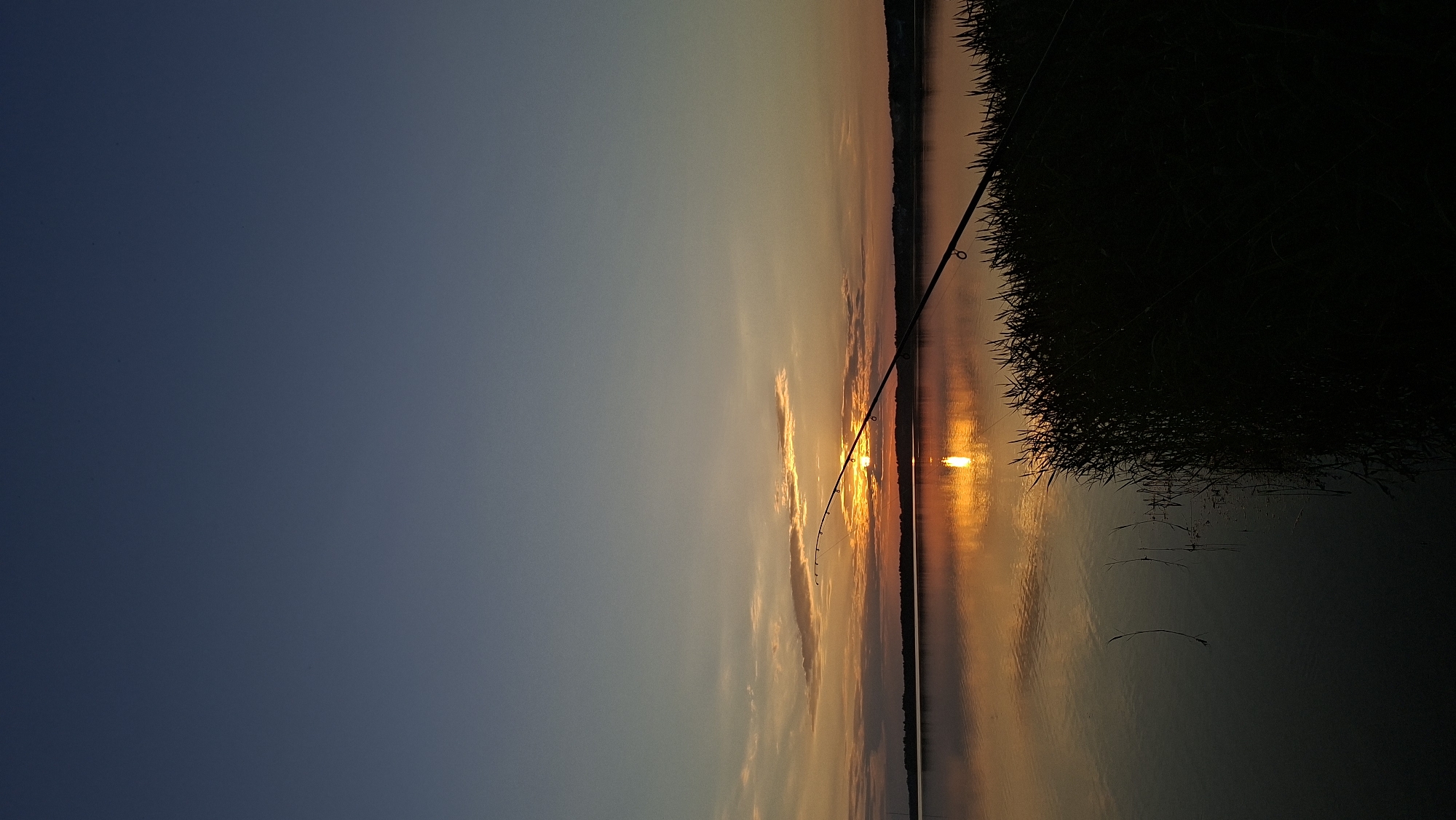 The image depicts a serene sunset over a tranquil body of water, likely Lake Myadel, in the city of Myadzyel, Belarus. The sky transitions from a deep, dark blue at the top to lighter hues of orange and yellow near the horizon, where the sun is setting. Wispy clouds are scattered across the sky, illuminated by the sun's warm glow.
In the foreground, a fishing rod is set up on the shore, its tip extending over the water. The rod is silhouetted against the bright sunset. The shore is lined with dark, silhouetted reeds and tall grass, creating a stark contrast with the illuminated sky and water. The surface of the lake is calm, reflecting the vibrant colors of the sunset, with a bright reflection of the sun creating a shimmering path across the water. In the distance, a dark, treeline borders the horizon, adding depth to the scene. A few thin stalks of grass emerge from the water near the left edge of the frame. The overall impression is one of peaceful solitude and the beauty of nature.