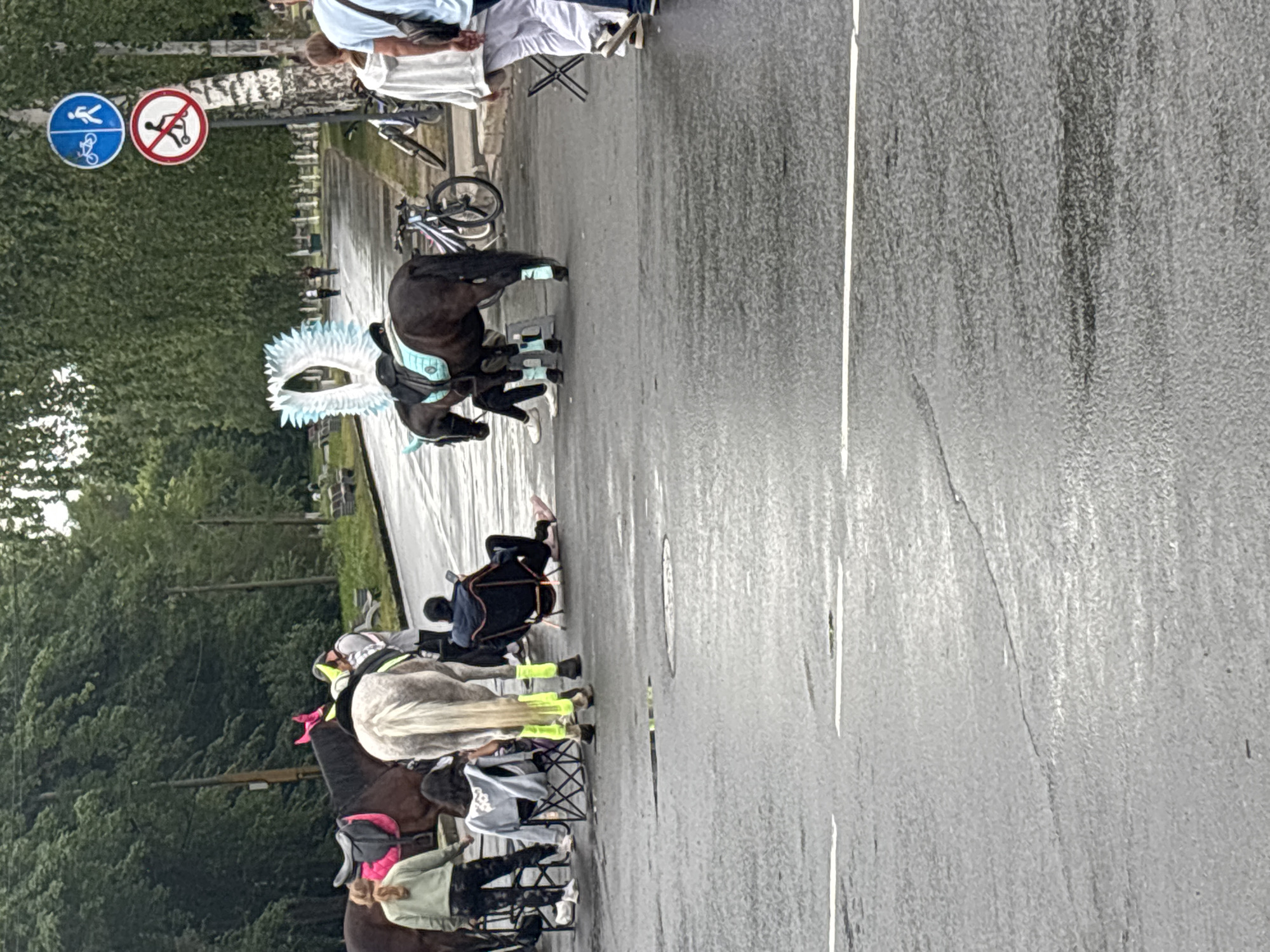 The image shows a street scene in Petrozavodsk, Russia, likely in a park or along a tree-lined avenue. Two horses, one dark brown and the other light gray, are present. The dark brown horse is adorned with a large, feathered headdress resembling wings and blue accents on its saddle and leg wraps. The gray horse has bright yellow leg wraps and a saddle. Several people are visible, some seated in folding chairs and others standing. One person, in dark clothing, sits in a chair holding a mobile phone, facing away from the camera and towards the horses. Another person in a light-colored hoodie is seated to the left. Two women stand near the horses, one in a green jacket and the other in a white hoodie. In the background, there are trees, bicycles, and street signs. One sign indicates a pedestrian and bicycle path, and another shows a red circle with a line through it, prohibiting scooters. The asphalt street is wet, suggesting recent rain.
