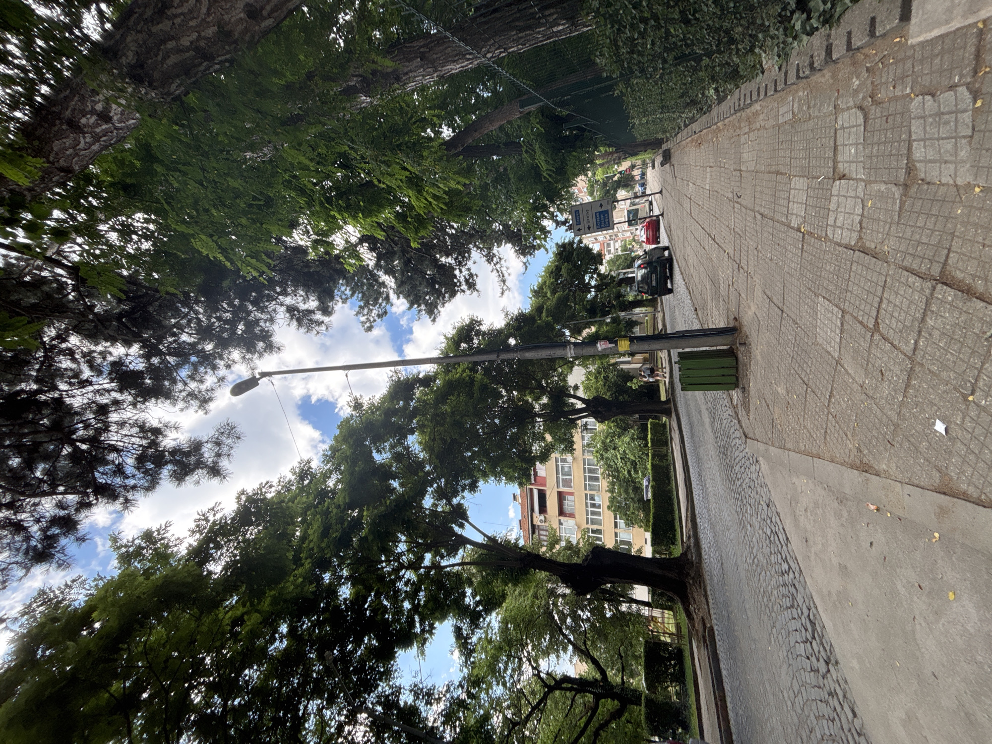 The image shows a tree-lined street in Gotse Delchev, Bulgaria. The street is paved with cobblestones, and a sidewalk is to the right, also made of paving stones. On the left side of the street, large trees with dense green foliage cast shadows. In the background, a multi-story building with windows and balconies is visible. A lamppost stands on the sidewalk. Two cars, a red one and a dark green one, are parked on the street. A street sign with arrows indicating directions is also present. The sky is partly cloudy, suggesting it is daytime. The scene depicts a typical urban environment with elements of nature integrated into the cityscape. The overall impression is one of a peaceful, everyday street scene. There is no obvious activity or event taking place, other than the parked cars and the implied presence of people in the background who are too small to be clearly discerned. No discernible emotions are conveyed. There is no visible text in the image.