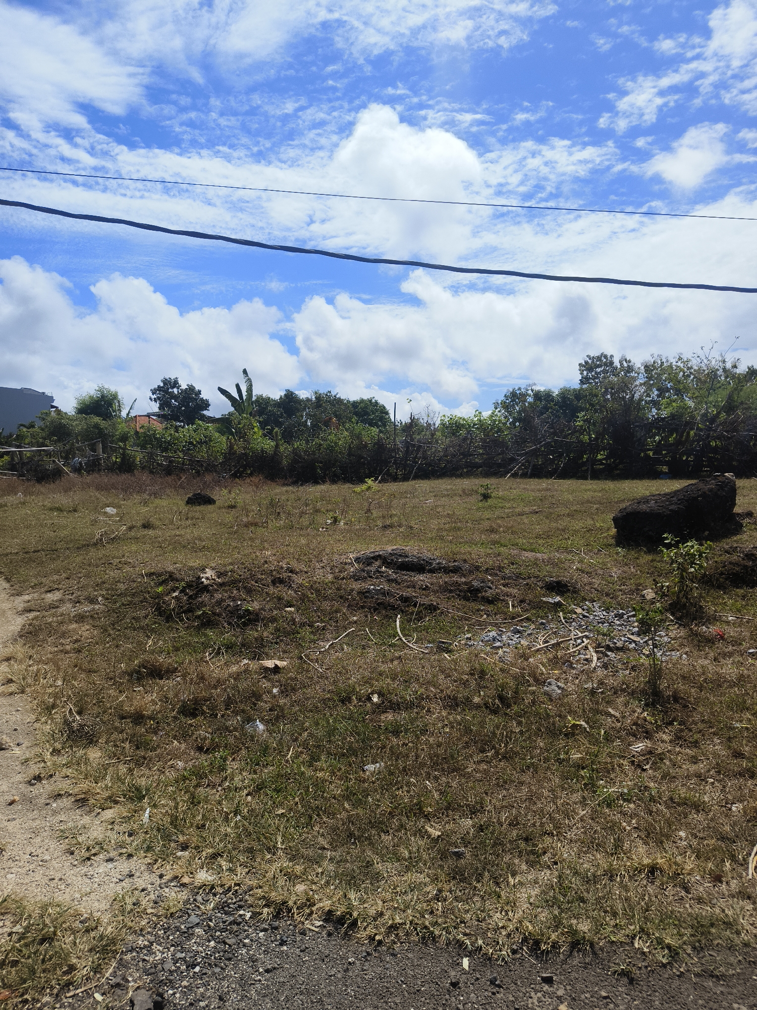 This is a wide-angle, eye-level, outdoor photograph taken during the daytime in Kuta Selatan, Indonesia. The scene depicts an undeveloped, grassy area with dry, straw-colored grass and some scattered debris. A rough dirt path or road is visible on the left side of the frame, leading into the grassy field. In the middle ground, there are several dark, irregular-shaped rocks and a small patch of green vegetation. The background is filled with a dense line of trees and shrubs, with a few structures partially visible behind them, including what appears to be a modern building on the far left and a reddish-tiled roof further back. The sky above is a vibrant blue, dotted with numerous white, fluffy clouds, suggesting fair weather. Two dark power lines are stretched horizontally across the upper portion of the image. There are no people or animals present in the photograph.