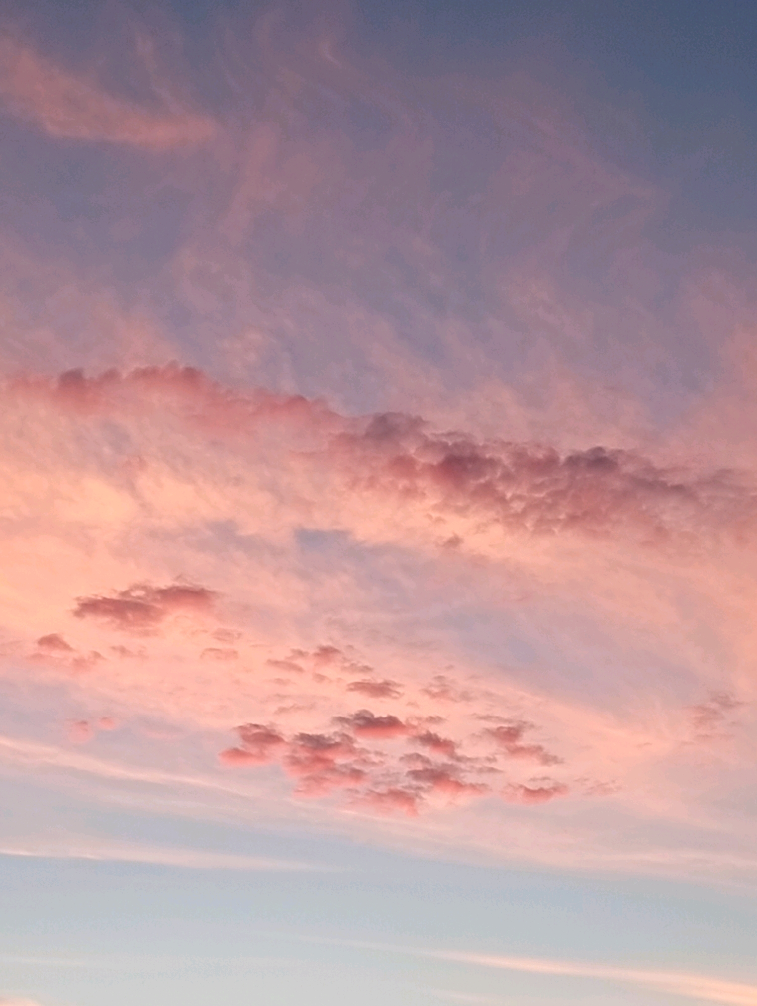 The image depicts a close-up, low-angle, vertical shot of a sky filled with wispy, pink-tinted clouds against a pale blue backdrop. The lighting suggests it is either dawn or dusk. The clouds are unevenly distributed, with some areas showing denser formations and others appearing more scattered and translucent. The colors range from soft pinks and oranges to muted purples and blues, creating a serene and atmospheric effect. There are no discernible landmarks, people, or objects in the frame, indicating the focus is solely on the natural phenomenon of the sky. The location in Khust, Ukraine, is not visually evident from the image itself.