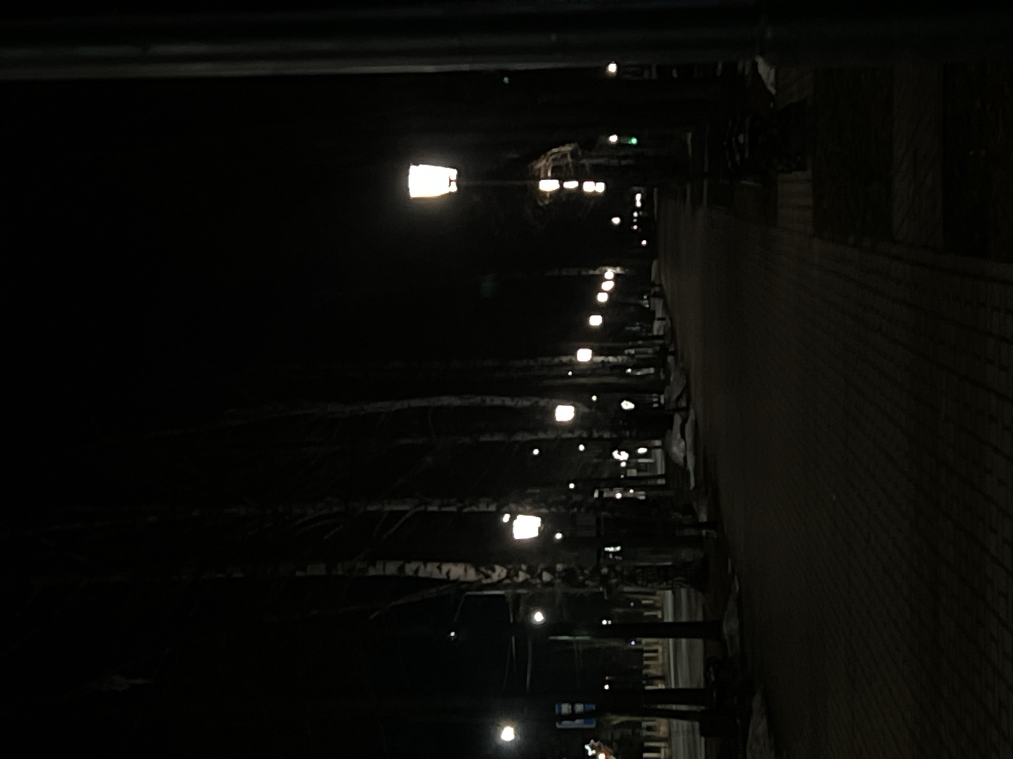 A low-angle shot of a nighttime scene in Chaikovsky, Russia shows a pathway illuminated by a series of evenly spaced streetlights. The pathway is constructed of dark brick or stone. Rows of birch trees are planted alongside the pathway, their white bark visible even in the dim light. The image is mostly dark, with the light from the streetlamps providing the primary illumination. A few people are visible as dark silhouettes further down the path.