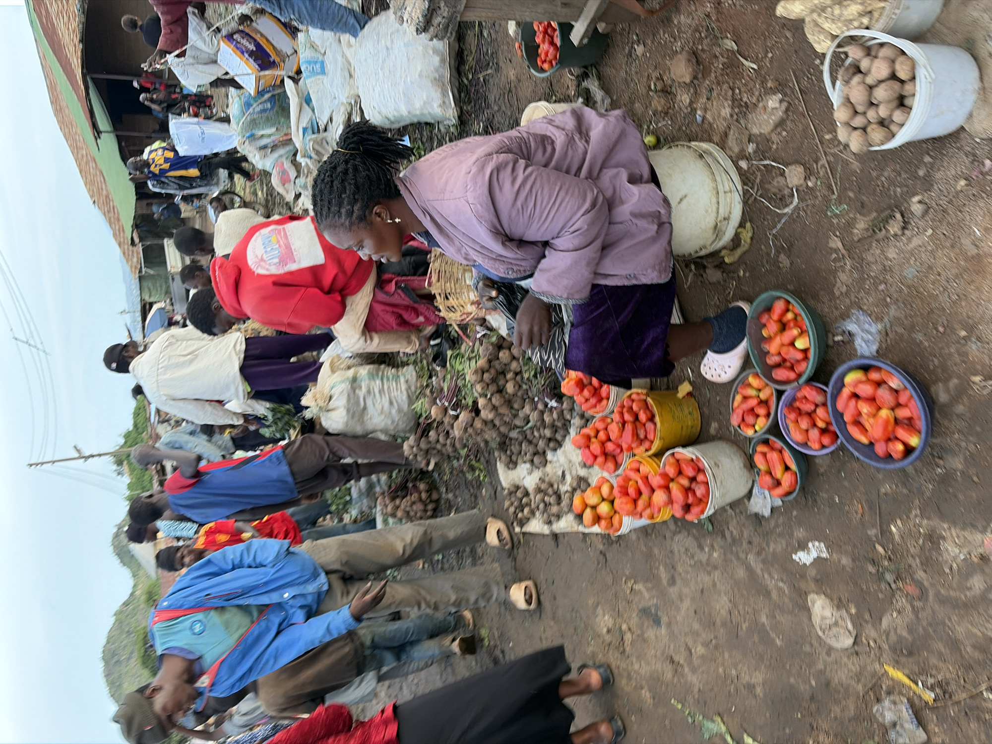 The image depicts an outdoor market scene in Gura Top, Nigeria. A woman with braided hair, wearing a purple jacket and skirt, is seated on a white bucket, holding a basket. She is surrounded by various produce, including buckets of tomatoes and potatoes. In the background, several men and women are visible, some engaged in selling or transporting goods. Structures with corrugated metal roofs suggest a bustling marketplace. The ground is uneven and appears to be dirt. The overall atmosphere is that of a lively, transactional environment.