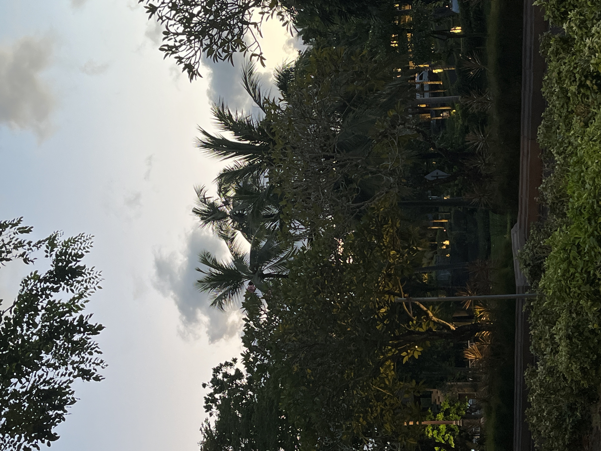The image depicts a scene in Kuta Selatan, Indonesia. The sky is overcast with scattered clouds, and the view is dominated by various trees, including palm trees. The foreground features dense greenery, possibly a hedge or shrubbery. In the midground, there are illuminated buildings or structures, indicating an urban environment. A street lamp can also be discerned. The scene appears to be at dusk or dawn, judging by the ambient light.