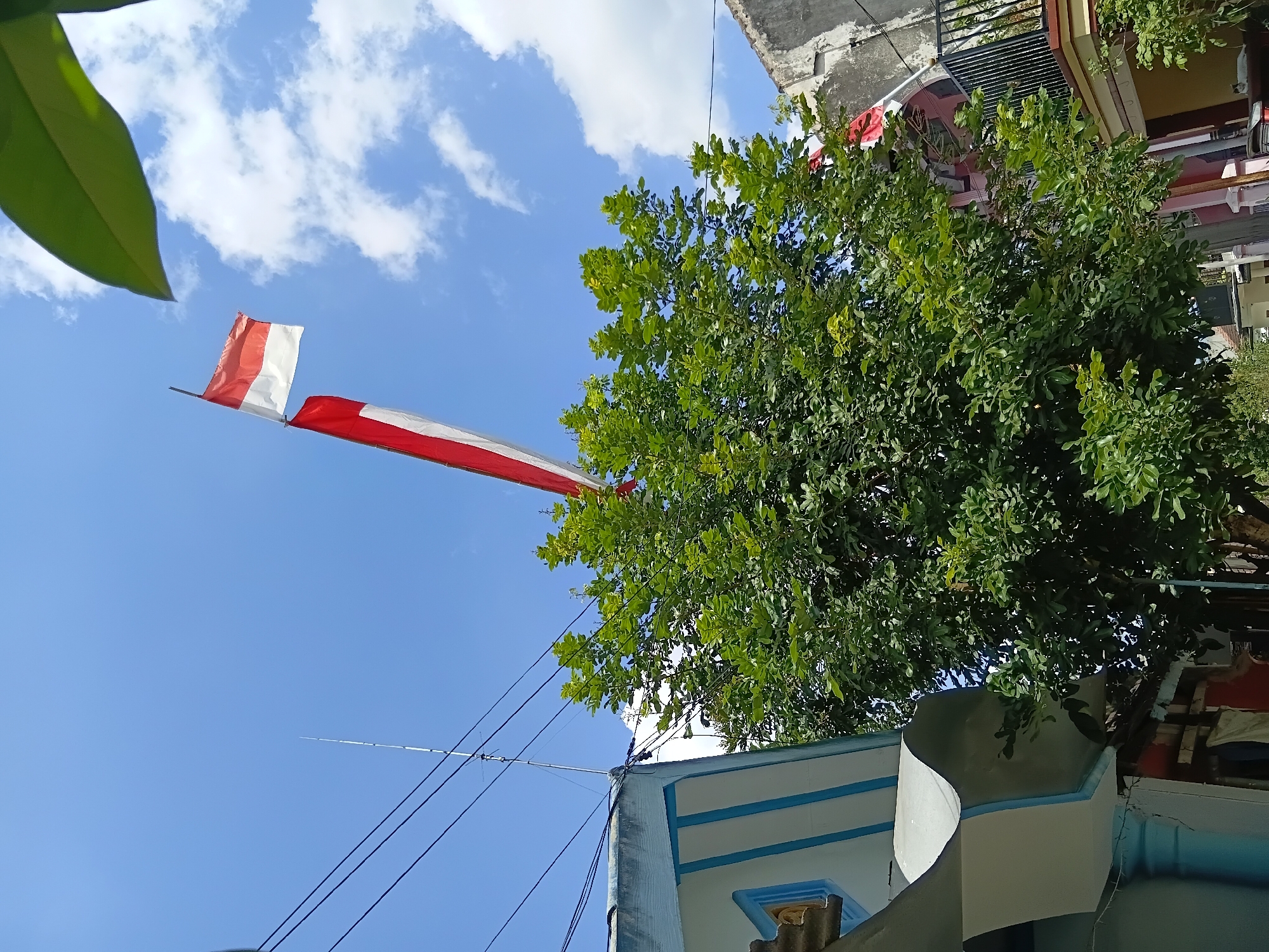 This is a low-angle, ground-level outdoor shot in Tanggul Wetan, Indonesia, depicting a bright, clear sky with scattered white clouds. In the upper right quadrant, the Indonesian flag, red and white, is prominently displayed, unfurled from a pole. A long, red and white pennant, likely a decorative extension of the flag, hangs below it. A large, vibrant green tree with dense foliage dominates the center of the frame, partially obscuring buildings on the right and left. On the far left, the corner of a building is visible, characterized by white and light blue striped siding and a grey, curved awning. To the right of the tree, another building is partially visible with a grey, textured exterior and a balcony with a black railing. The scene is set on a sunny day, with visible power lines crisscrossing the upper portion of the image.