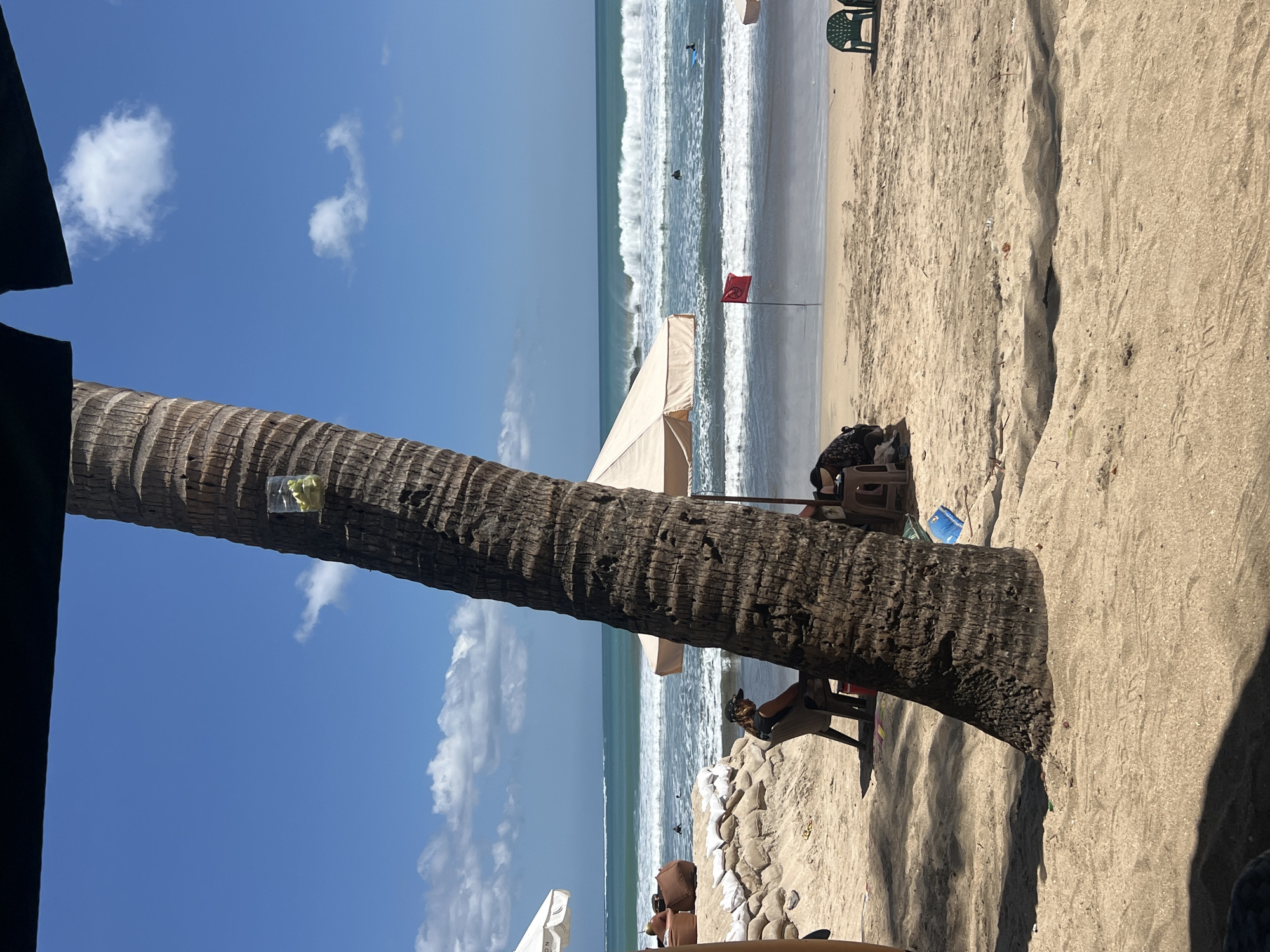The image depicts a scene on a sandy beach in Kuta, Indonesia, under a clear blue sky with scattered white clouds. A large palm tree trunk is prominently positioned in the foreground, leaning towards the right. Attached to the trunk, about halfway up, is a clear plastic cup containing some green material, possibly fruit or leaves.
In the middle ground, a beach umbrella provides shade. A person is seated in a chair to the left of the umbrella, wearing a dark top and a black baseball cap. They appear to be looking down at something on their lap. To the right of the umbrella, a small red flag is planted in the sand. Further back, the ocean stretches to the horizon with moderate waves breaking. Several surfers are visible in the water.
The beach itself is sandy, with some scattered debris and a few sandbags creating a low barrier near the seating area. Two green plastic chairs are visible on the far right. The overall impression is a relaxed beach environment on a sunny day.