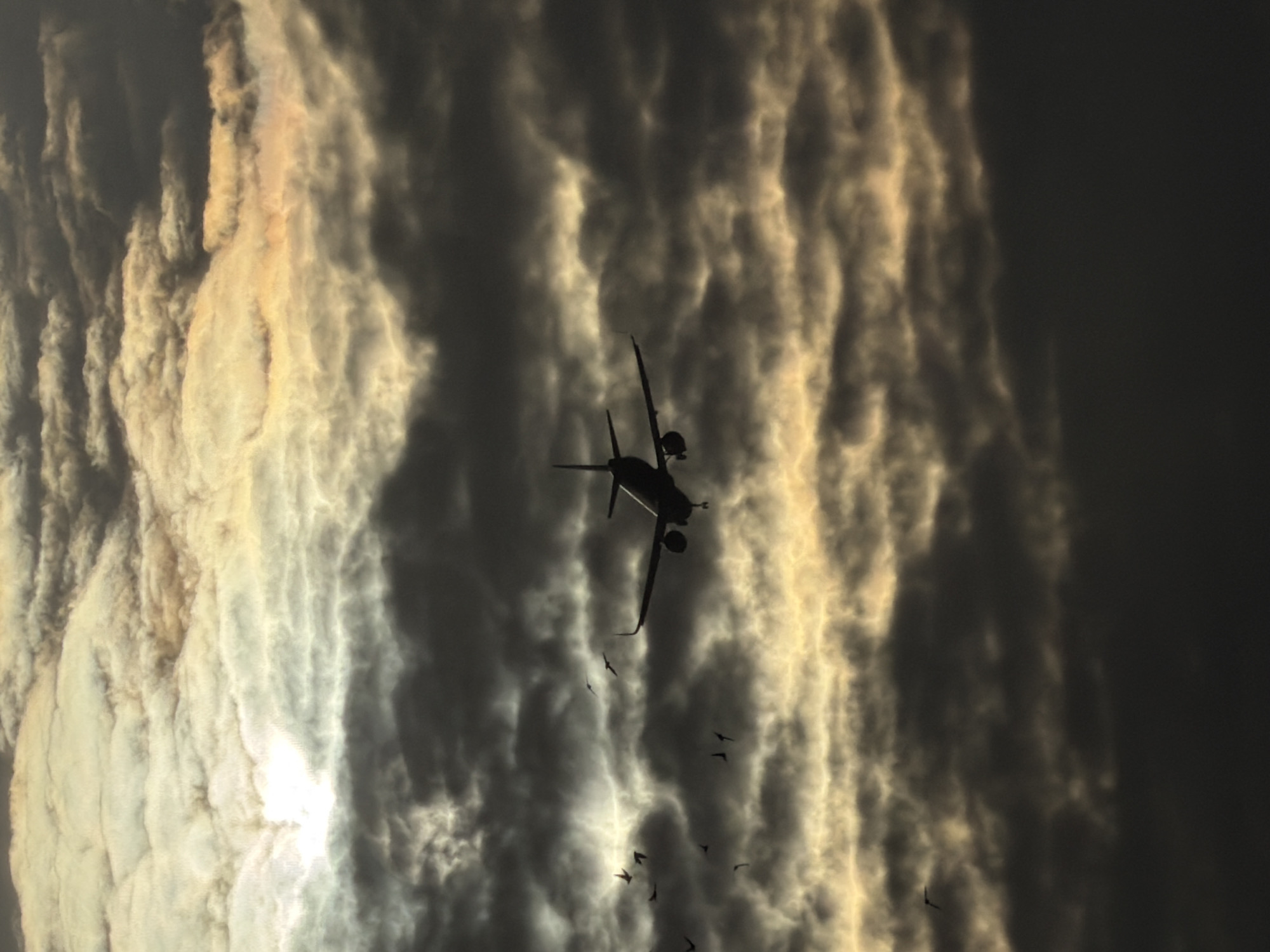 The image shows a silhouetted airplane flying through a dramatic sky filled with dark, textured clouds. The sun is partially visible, casting a bright glow through the clouds, creating streaks of yellow and white light. Several birds are also visible, scattered around the airplane, adding a sense of scale and movement to the scene. The overall impression is one of flight and atmospheric grandeur. There is no indication of any specific location in the city of Delhi, India.