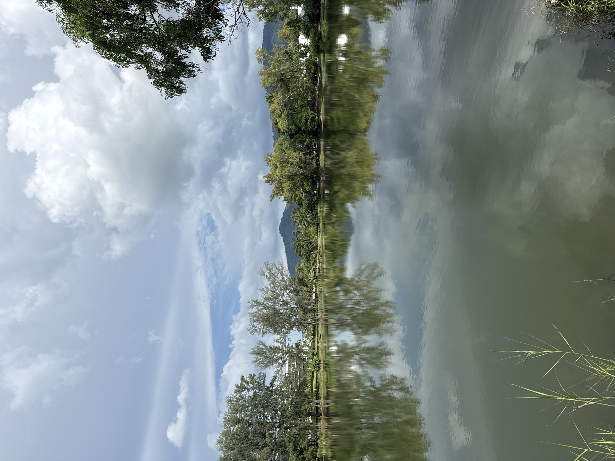An outdoor, full shot captures a tranquil lake scene with reflections of trees, buildings, and the sky on its surface. The lake occupies the majority of the foreground, with its dark green water reflecting the overhead environment. Tall, slender reeds emerge from the lower left edge of the frame, adding a touch of natural detail to the waterfront.
In the middle ground, a line of trees, predominantly pine-like with their feathery foliage, stands along the far bank of the lake. Behind the trees, white buildings are visible, their architectural style suggesting a resort or residential complex. Further back, a lush green forest and rolling hills create a sense of depth, with a distant mountain range shrouded in a soft haze.
The sky above is a dramatic canvas of white, puffy cumulus clouds against a pale blue backdrop. Some clouds appear dense and textured, while others are wispy and diffused. The overall atmosphere is serene and picturesque, conveying a sense of natural beauty and peacefulness. The location is identified as Unknown City, Unknown.