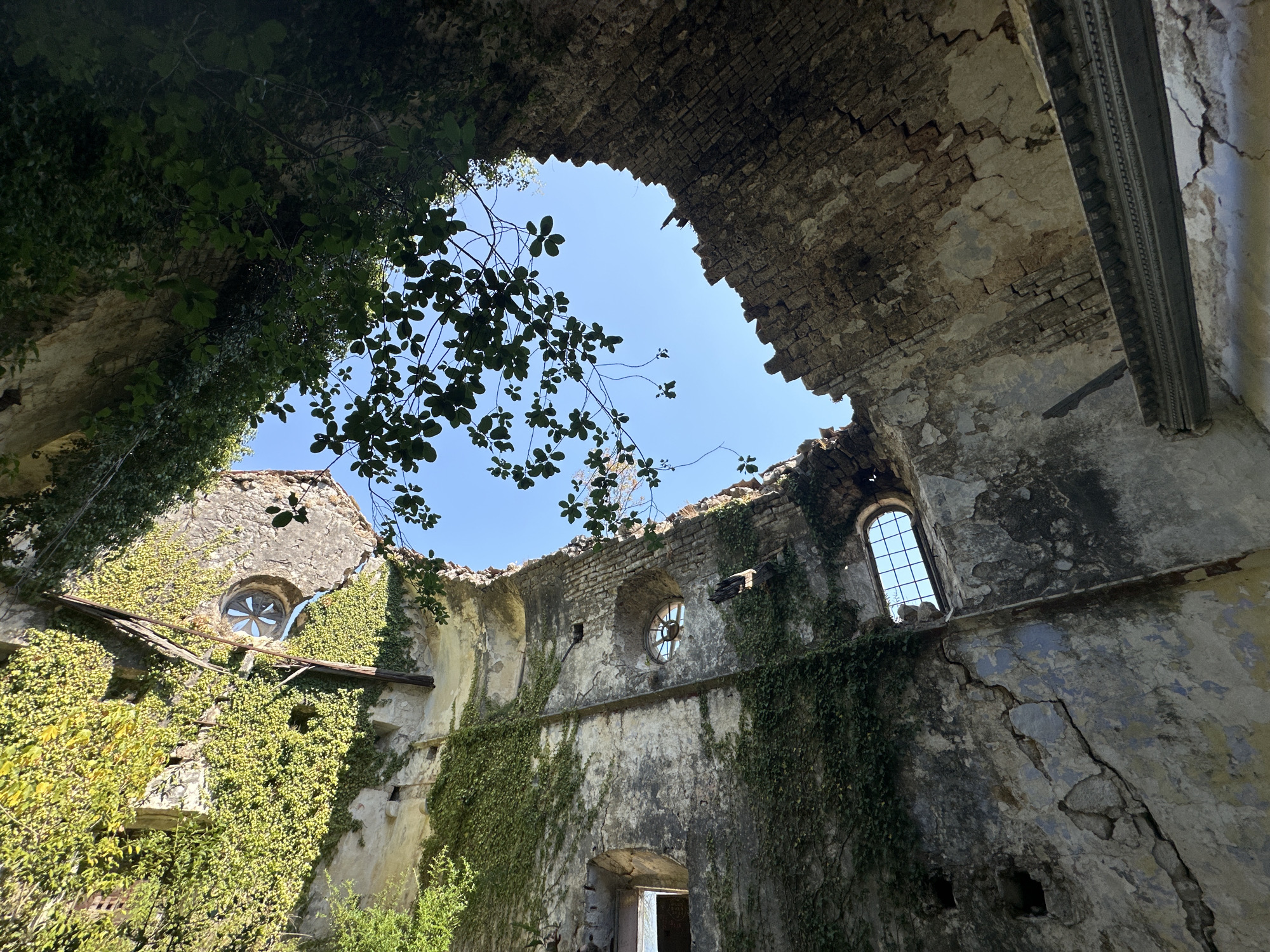 An upward view reveals the dilapidated interior of an old stone building, possibly a church or monastery, in Dobrota, Montenegro. The structure is heavily overgrown with lush green ivy, which climbs the crumbling walls and spills from the partially collapsed roof. Sunlight streams through the open ceiling and the few remaining window frames, illuminating the weathered stone and brickwork. Circular windows, one with a decorative star-shaped pane, punctuate the walls. In the foreground, tree branches with green leaves extend from above, framing the view of the sky. The overall impression is one of abandonment and the slow reclamation of nature over man-made structures.