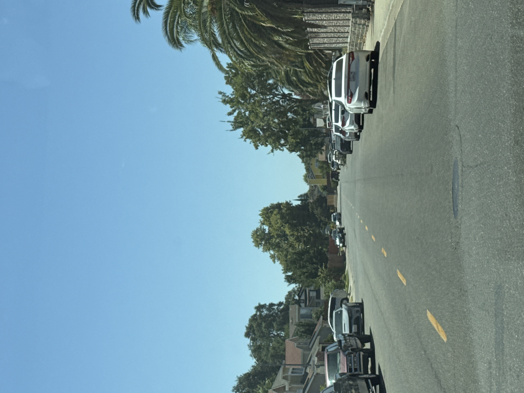 An eye-level, slightly angled medium shot captures a street scene in Antelope, California, on a clear, sunny day. The foreground is dominated by an asphalt road with visible yellow lane dividers. On the left side of the road, several parked cars are visible, including a maroon pickup truck, a dark-colored SUV, and a silver sedan. The right side of the street also features parked cars, predominantly white sedans and a dark-colored SUV further down the road.
Beyond the parked cars, residential houses with varying architectural styles are lined up. The houses on the left appear to be older, with pitched roofs and multiple windows. On the right, a more modern stone wall lines the street, with palm trees and other lush greenery behind it. The background reveals a dense canopy of trees, interspersed with more houses and structures. The sky is a vibrant, cloudless blue. The overall impression is a quiet residential street on a warm, bright day.