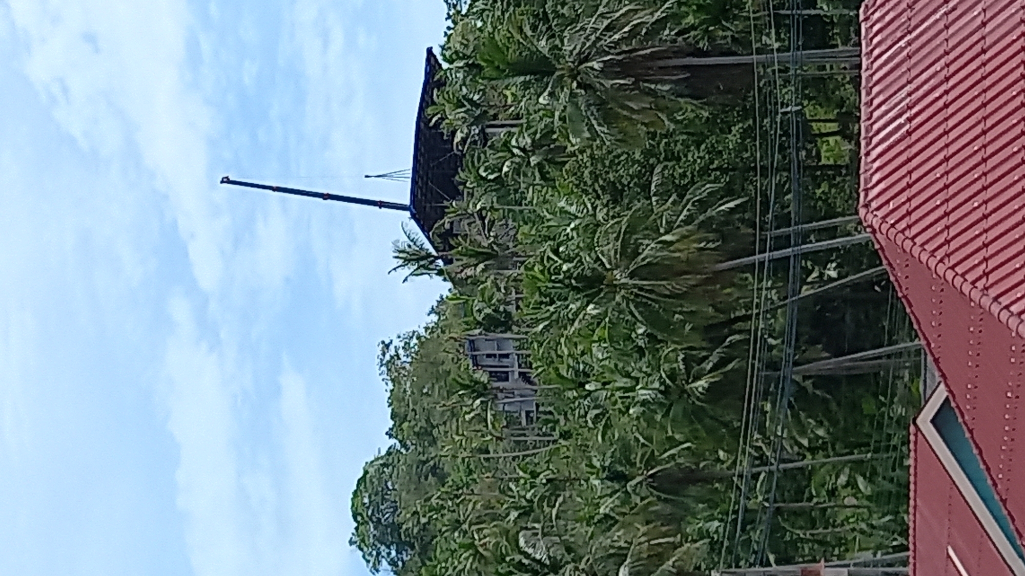 A construction site is visible on a forested hill on Ko Pha-ngan District, Thailand. A tall crane is positioned above a partially constructed building, which is surrounded by lush green foliage and palm trees. In the foreground, red tiled roofs of residential buildings are visible. The sky is blue with scattered clouds.