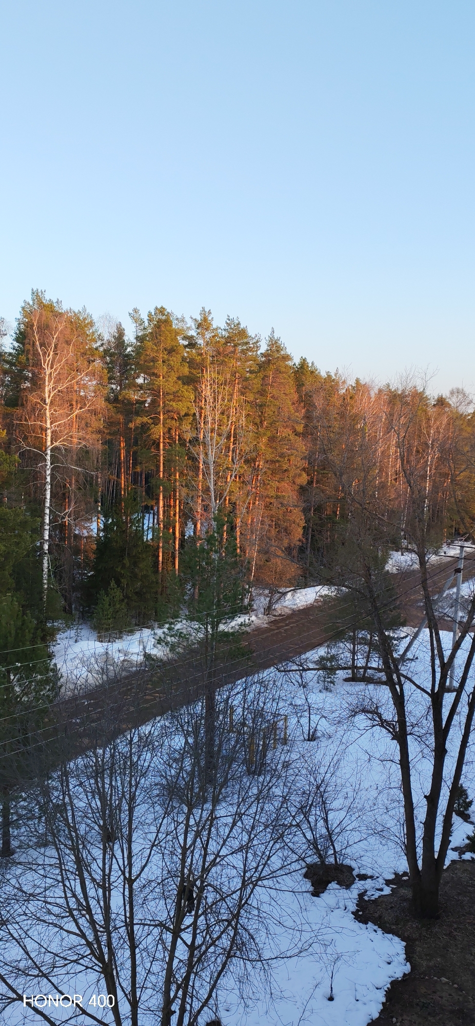 This image depicts a winter or early spring landscape in Noviy, Russia, under a clear, light blue sky. The upper midground features a dense forest line composed primarily of tall pine trees with green foliage, interspersed with bare-branched deciduous trees, notably birches with white bark. Golden-orange sunlight illuminates the trunks and upper branches of many trees from the left. Patches of snow are visible on the forest floor, and a small, blue, partially obscured structure is present within the tree line towards the center-left. An unpaved, dark road runs diagonally across the midground from left to right, bordered by melting snow and exposed dark soil. The foreground is characterized by widespread melting snow cover, dark bare earth, and numerous bare deciduous trees and shrubs with intricate branch networks. Multiple dark utility lines traverse horizontally across the lower mid-section. No people or animals are visible within the scene. A 'HONOR 400' watermark is present in the bottom left corner.