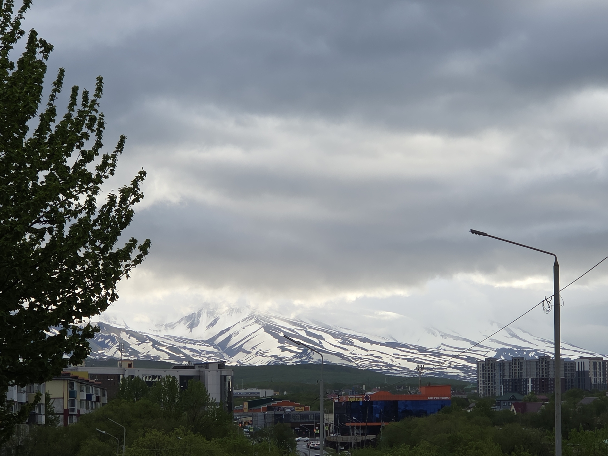 The image captures a scenic view of Petropavlovsk-Kamchatsky, Russia, with snow-capped mountains in the background under a cloudy sky. In the foreground, a large tree with green foliage partially obscures the view of a residential building on the left. Further to the right, a street with some cars is visible, lined with various buildings including commercial establishments with signs, and modern high-rise apartment buildings. A lamppost stands prominently in the middle-right of the frame. The overall impression is a blend of urban development and natural grandeur.