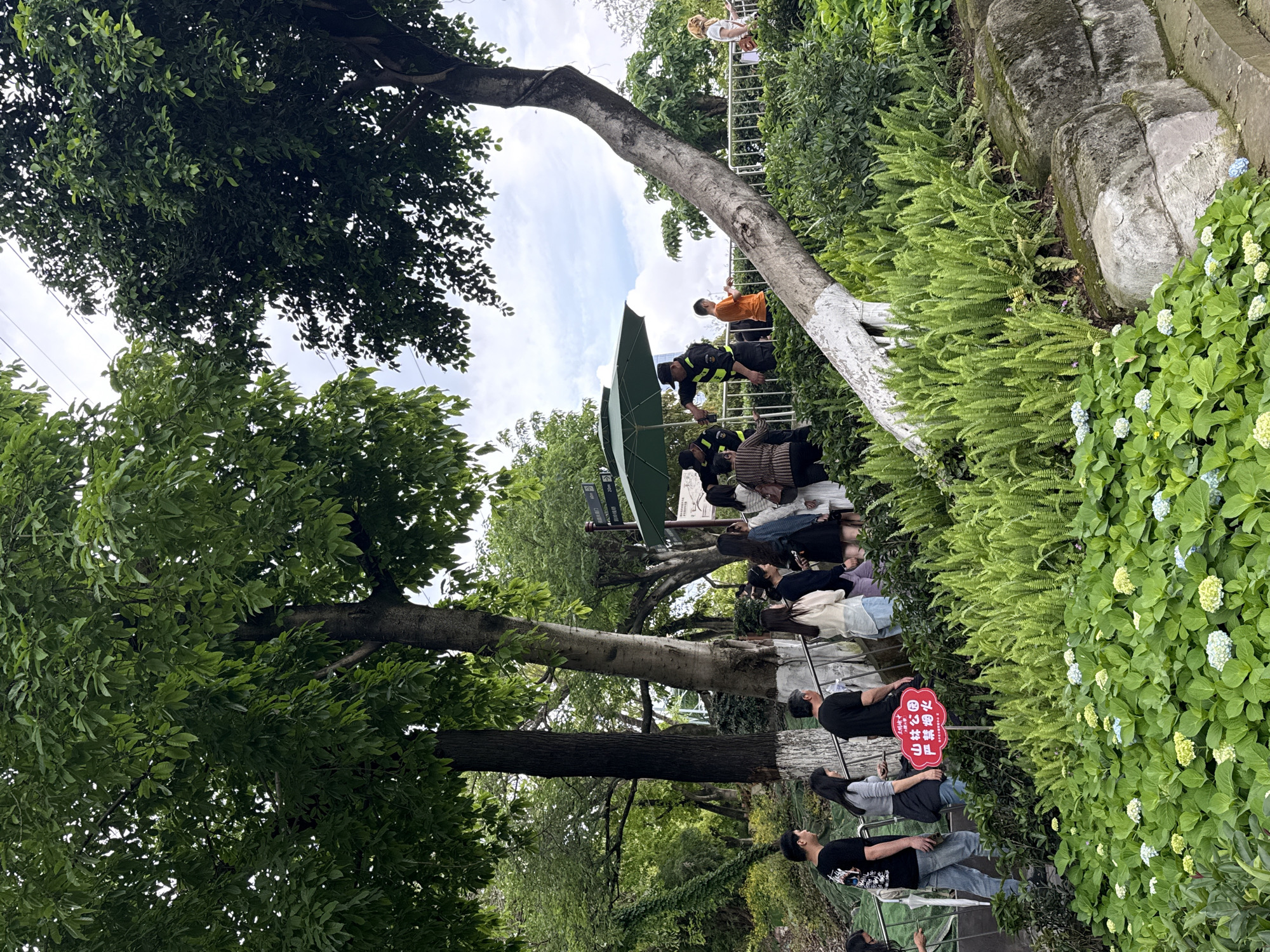 A slightly rotated medium shot depicts a public outdoor scene in the Yuzhong District, China. A group of people, mostly dressed casually, are sitting on benches under the shade of green trees. A green sun umbrella provides additional shade. A sign with red lettering is visible. In the background, several people are standing on a platform behind a white railing. The environment features lush greenery, including ferns and hydrangeas, and a gray stone wall.