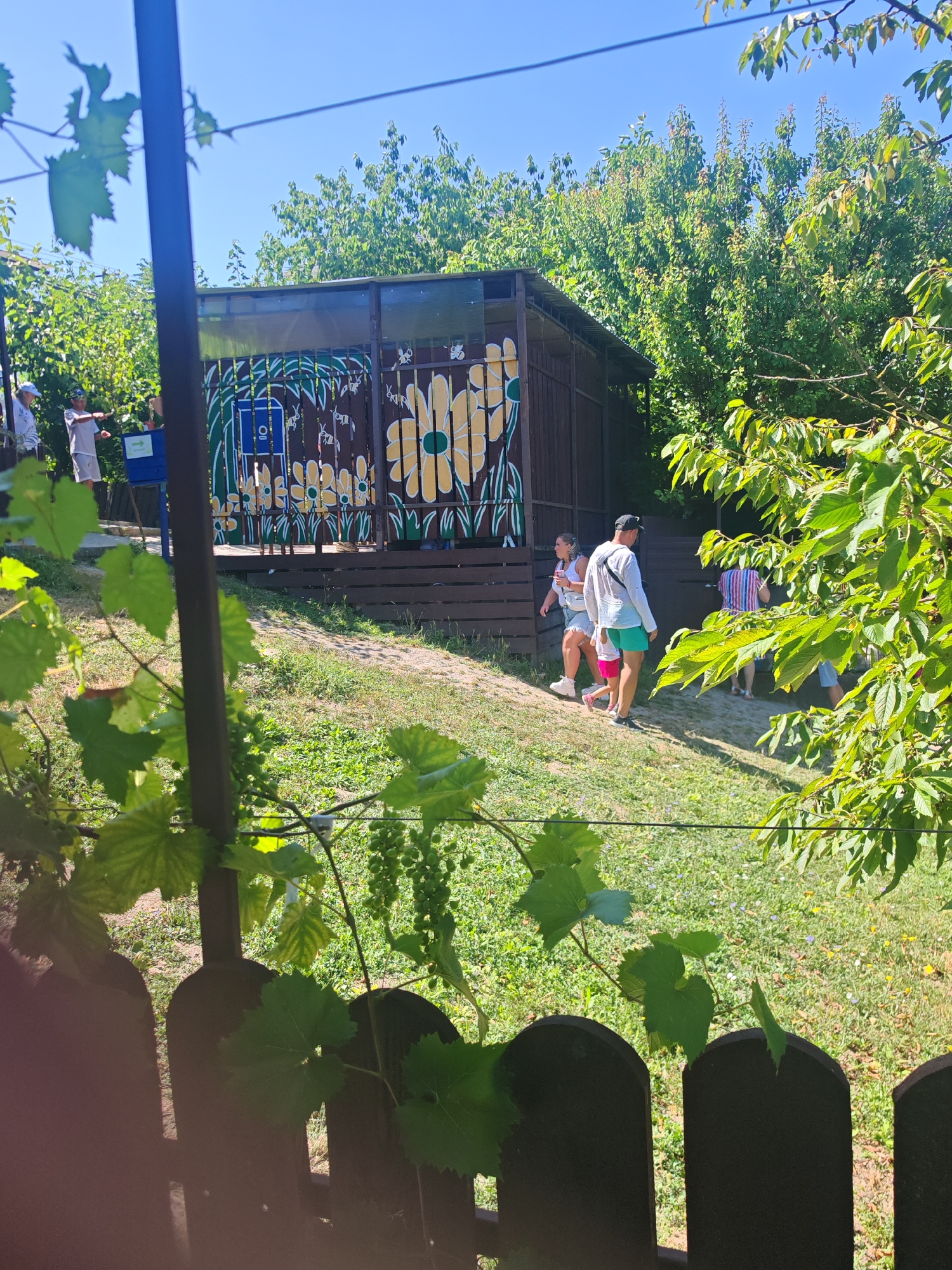 The image shows an outdoor scene on a sunny day, likely in Varvarovka, Russia, with a wooden fence in the foreground and a building with painted decorations in the background. A few people are visible near the building. In the foreground, a dark wooden fence is partially obscured by green grape leaves and vines, with unripe green grapes hanging from a vine. The background features a low-lying building with a dark brown wooden structure and a corrugated metal roof. The side of the building is decorated with a mural of yellow flowers and green stems, with some brown areas on the wall. A blue sign with a white symbol is mounted on a pole near the building. Several people are walking on a grassy incline towards the building. One woman in a white top and denim shorts, a child in a pink shirt, and a man in a white shirt, black cap, and green shorts are walking away from the viewer towards the building. Another person in a striped shirt is visible further back. The environment is green and lush, with trees and grass.
