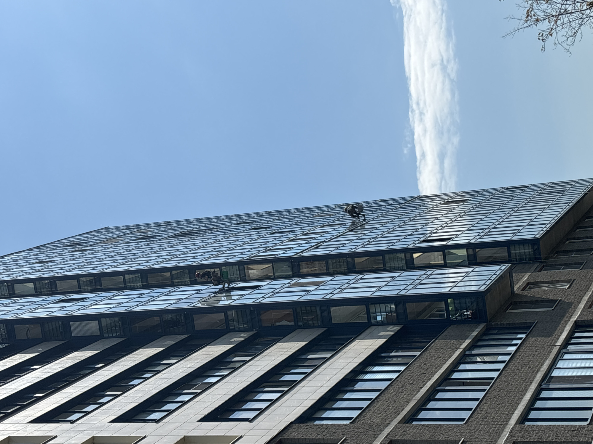 The image shows a tall building in Vsevolozhsk, Russia, with a unique architectural design featuring a stepped glass roof and angled windows. Two window washers are suspended by ropes on the glass roof, appearing to be cleaning the windows. The sky is blue with a single, long, white cloud. The building is made of grey stone or concrete with black window frames. The lighting is bright and sunny.