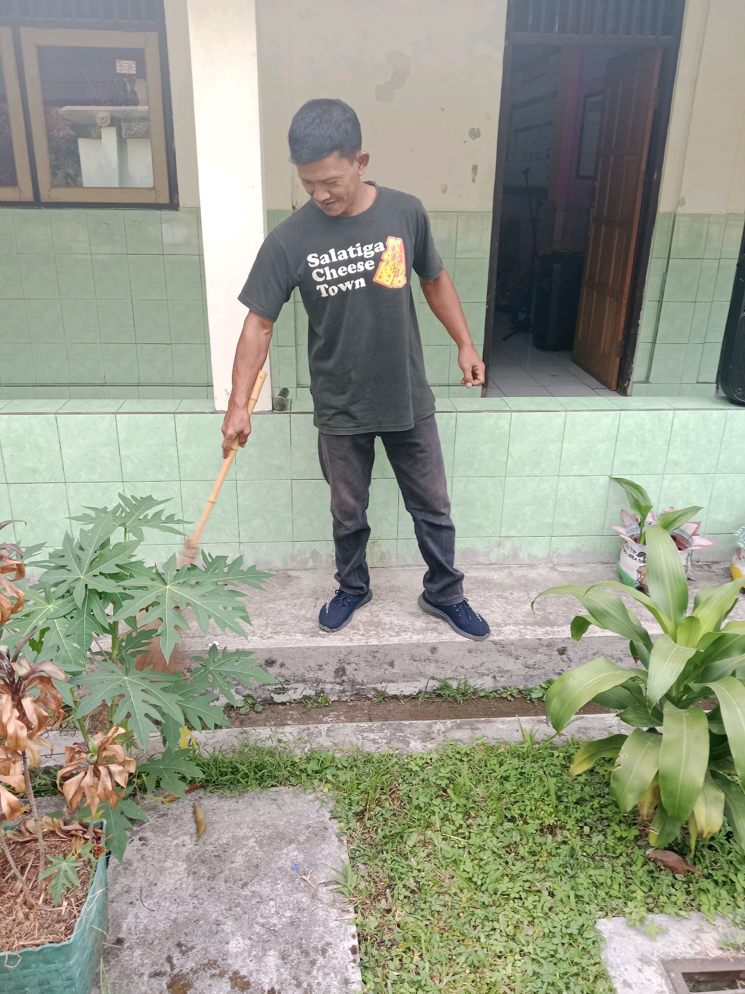 A middle-aged Asian man stands outside a building, wearing a dark grey t-shirt with the text "Salatiga Cheese Town" and yellow cheese graphic, dark grey jeans, and dark blue athletic shoes. He is holding a long, thin broom with a wooden handle and bristles, and appears to be sweeping leaves from a potted papaya plant. The man is looking down at the plant with a slight smile. The building behind him has a light-colored facade and green tiled walls. A doorway is visible to the right, revealing an interior space with furniture and equipment. In the foreground, there are several potted plants, including a large leafy green plant to the right of the frame. The ground is a mix of concrete, gravel, and grass. The overall impression is of a casual, outdoor scene in a residential or institutional setting in Salatiga, Indonesia.