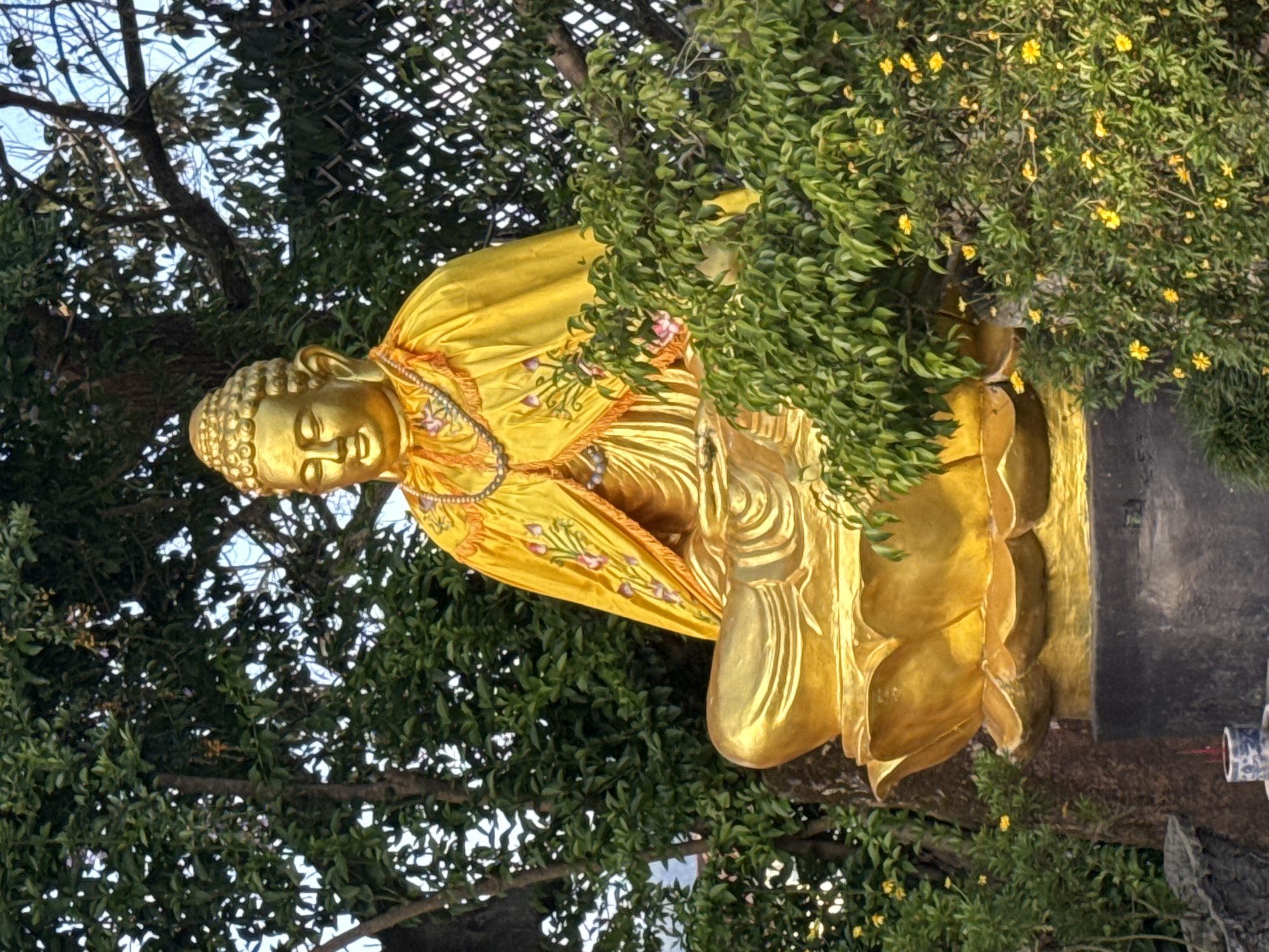 A golden Buddha statue sits in a serene meditation pose amidst lush greenery. The statue is adorned with a yellow robe featuring embroidered floral patterns and a beaded necklace. It rests upon a lotus-shaped pedestal, which is supported by a dark, textured base. Surrounding the statue are dense trees with vibrant green leaves and small yellow flowers, creating a natural and tranquil environment. In the background, a lattice fence is visible, partially obscured by the foliage. The scene appears to be located outdoors, possibly within a temple or garden setting in Lâm Viên - Đà Lạt, Vietnam, given the tropical vegetation.