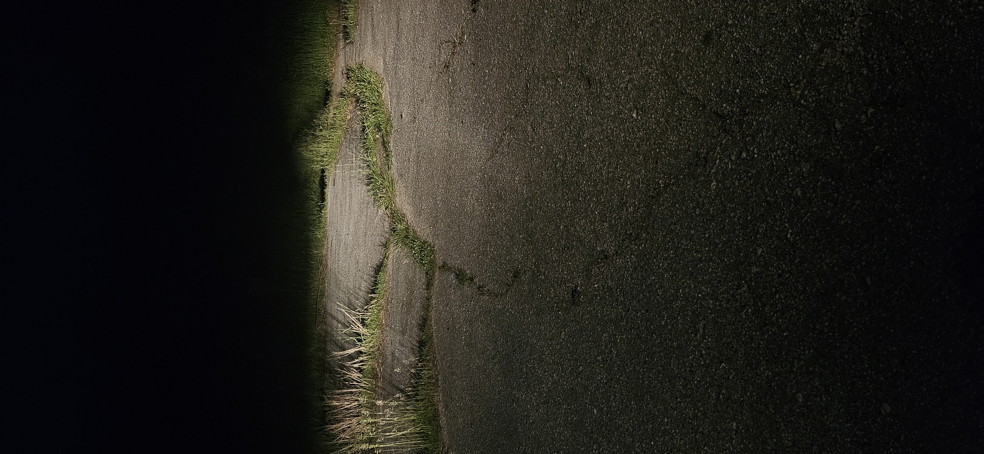 A close-up, vertically-oriented image shows a section of cracked asphalt pavement, bordered by a strip of overgrown vegetation along its left edge. The asphalt transitions from lighter gray closer to the vegetation to darker gray and near-black on the right. Patches of green grass and weeds grow within the cracks of the pavement and along the edge where the asphalt meets the vegetation. The left side of the image is dominated by black, obscuring any further details beyond the immediate edge of the pavement and vegetation. The scene gives the impression of a poorly maintained road or pathway in low light conditions. Given the location of Gutsal, Bulgaria, it could be an abandoned or rarely used road on the outskirts of town. No people, subjects, objects, actions or interactions can be ascertained other than those described.