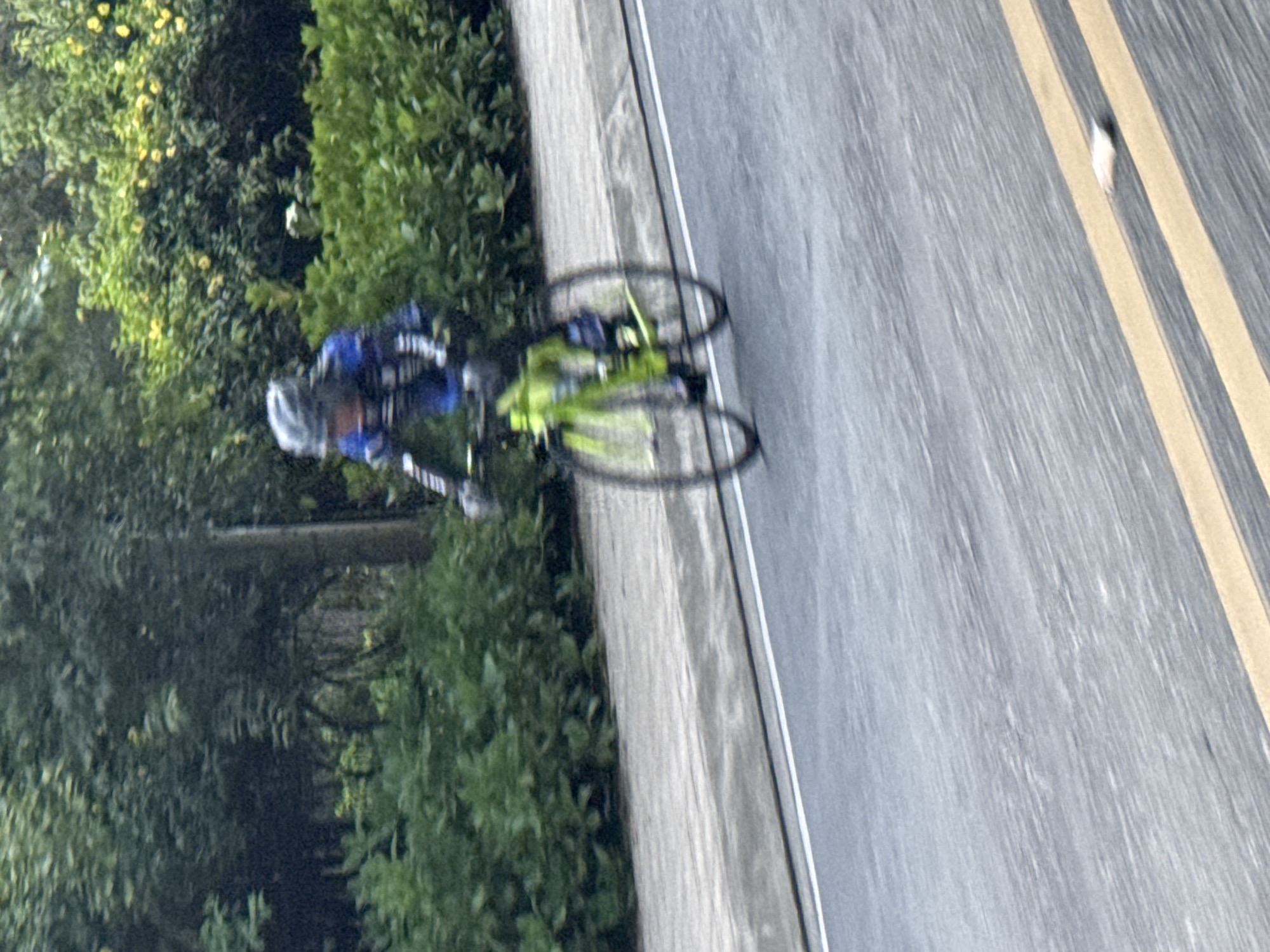 The image shows a cyclist in motion on a road. The cyclist is wearing a blue and black cycling outfit and a helmet. The bicycle appears to be green. The cyclist is positioned in the center of the frame, with the road extending into the foreground and background. To the left and behind the cyclist, there is lush green vegetation, including bushes and trees, with some yellow flowers visible among the foliage. The road has a gray asphalt surface with white and yellow markings. The overall impression is that of a dynamic scene captured during movement.