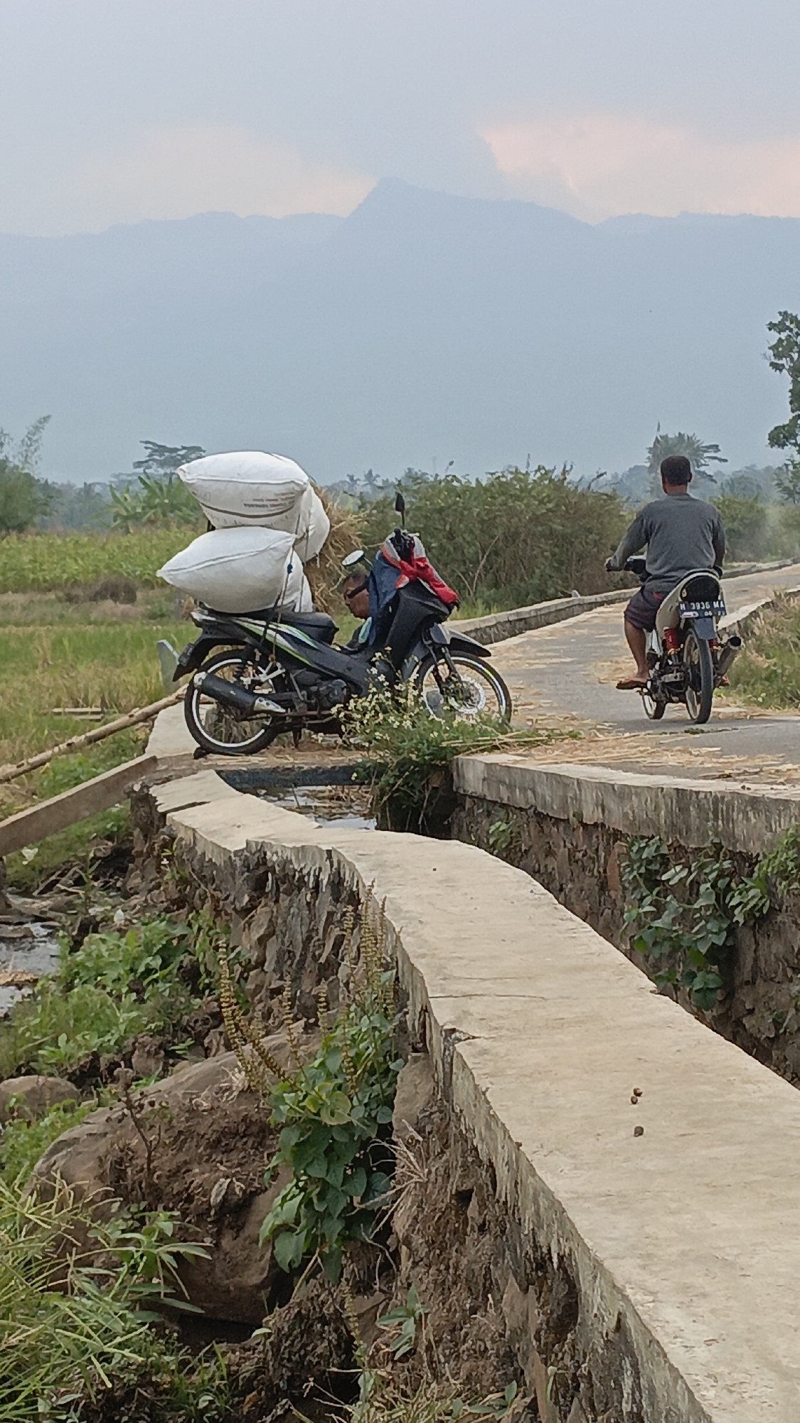The image depicts a rural scene in Salatiga, Indonesia, likely in a rice-growing region. In the foreground, a narrow concrete bridge with stone retaining walls spans a small waterway. On the bridge, a black motorcycle is parked, loaded with two large white sacks, possibly containing agricultural produce. A person wearing a blue shirt and a red bandana is seated on the motorcycle, facing away from the camera. Beyond the parked motorcycle, a second person, a man in a grey long-sleeved shirt and patterned shorts, is riding another motorcycle away from the viewer on a paved road. The road is bordered by lush green rice fields on the left and dense vegetation on the right. In the background, hazy mountains are visible under a pale sky. The overall impression is one of agricultural activity and daily life in a rural Indonesian setting.