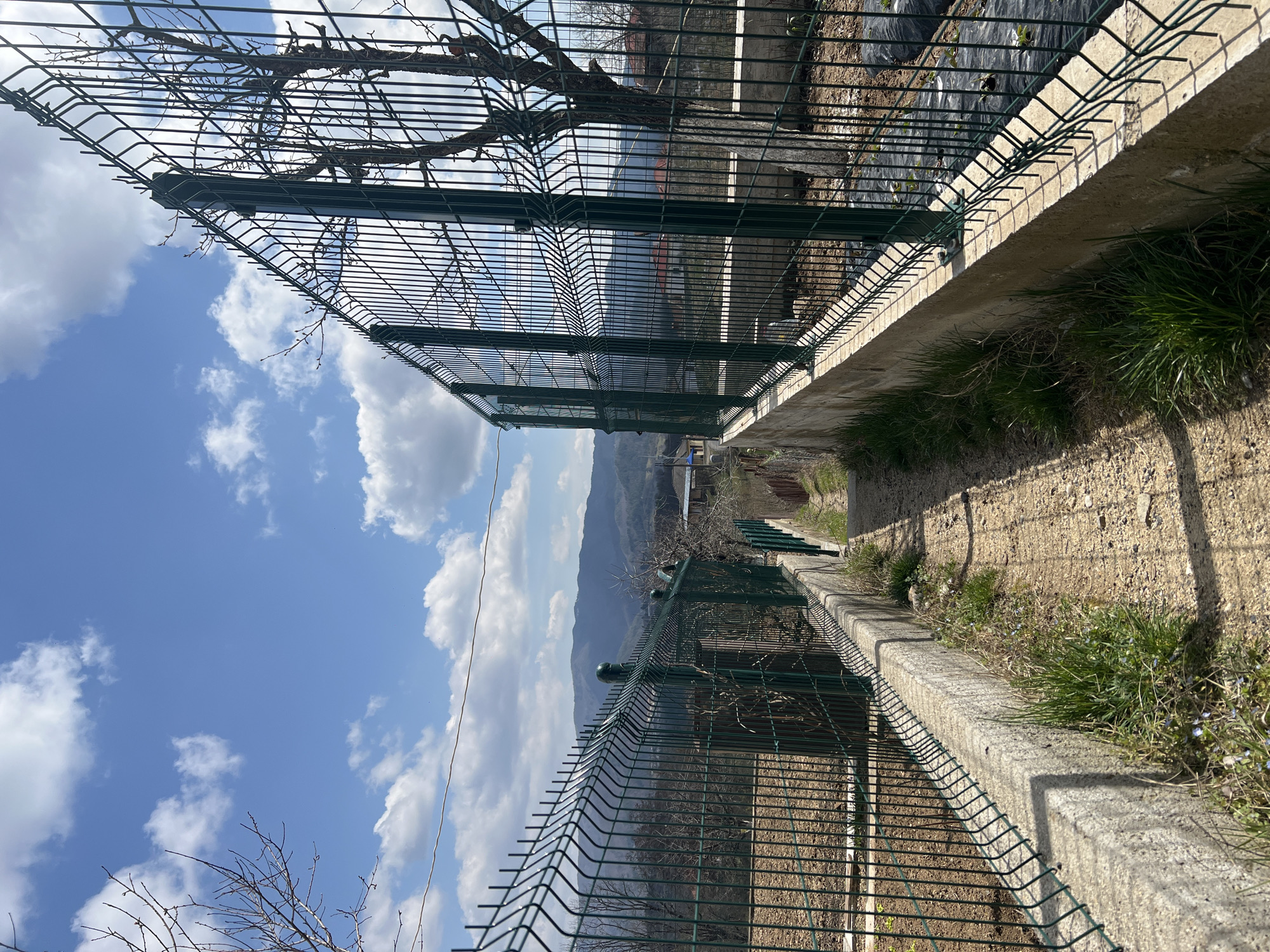 The image depicts a narrow, unpaved dirt path descending between two parallel dark green wire mesh fences in Sedlartsi, Bulgaria, under a partly cloudy blue sky. The path is light brown, with sparse green grass and small blue flowers growing along its edges and concrete bases. Both fences feature vertical metal rods, reinforced with horizontal V-shaped bends, and topped with upward-projecting wire spikes. The fence on the left borders an open area of dark brown, cultivated soil, with several bare deciduous trees. The fence on the right borders a similar cultivated area, partially covered with black agricultural sheeting where small green plants are visible, and includes a prominent bare deciduous tree with a light-colored trunk. In the middle distance, elements of a village with red-tiled roofs are visible. The background features rolling, dark green/blue mountains under a sky with scattered white cumulus clouds. No individuals, animals, or vehicles are present.