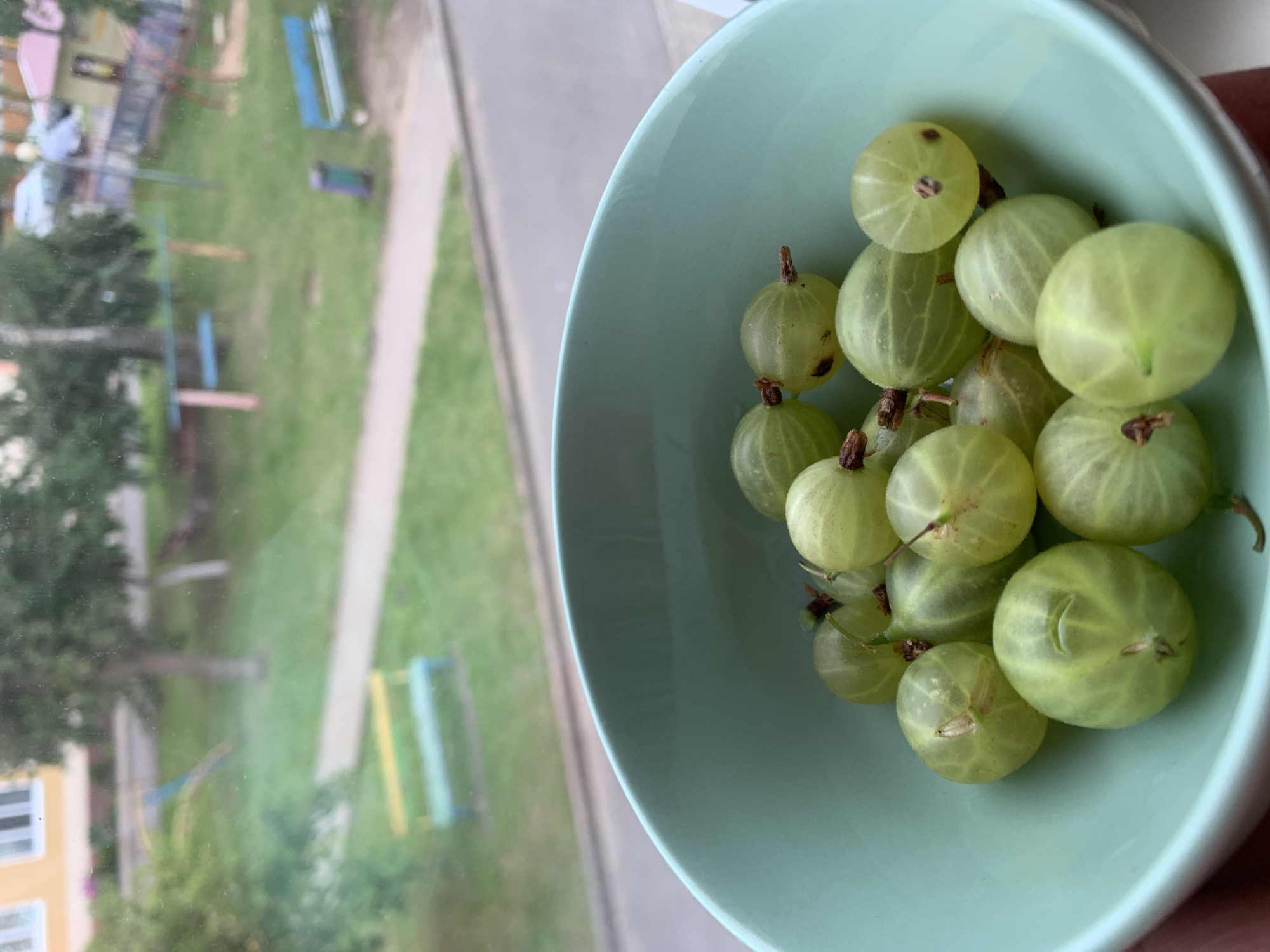 A close-up, high-angle shot shows a teal bowl filled with green gooseberries. The gooseberries are round and appear fresh, with visible stems and some slight variations in color. Some are translucent, allowing light to pass through them. The bowl is partially filled and rests on a surface, with a portion of a hand holding the bowl visible at the bottom left.
In the background, viewed through a window, is an outdoor scene that appears to be a courtyard or playground in Kapyĺ, Belarus. The background is somewhat out of focus. Visible elements include green grass, paved pathways, trees with green foliage, and several colorful benches and playground equipment. Specifically, a yellow and green bench is prominent in the middle ground. In the far background, a light-colored building with windows and a pink-roofed structure can be observed. A blue trash bin and another blue bench are also present. The overall impression is that of a domestic or public outdoor space during daylight hours.