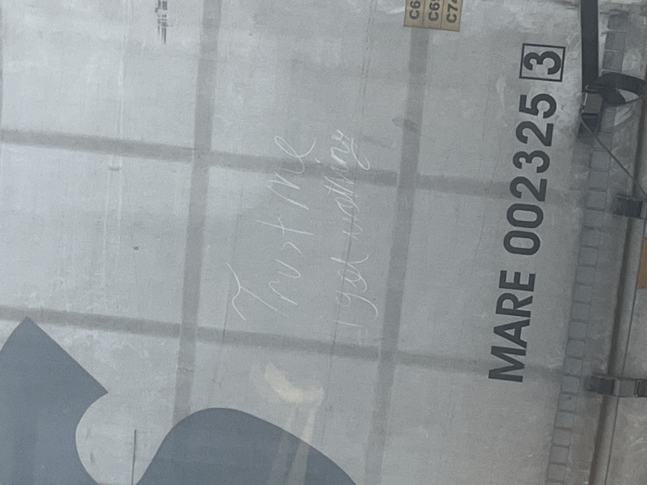 The image displays a close-up, angled view of a light-grey, corrugated metal surface, consistent with the side of a freight container or trailer. Vertical and horizontal seams form a grid pattern across the surface. On the upper left, a partial dark blue or grey stylized logo, resembling the curve of an 'S' or heart, is visible. White, scratched-in graffiti spans the upper-middle section, reading "Trust me" on the first line and "I got nothing" directly below it. Towards the bottom, in black sans-serif lettering, the text "MARE 002325" is present, followed by a '3' enclosed in a square outline. On the far right, three small, stacked, rectangular adhesive labels are partially visible, showing "C6...", "C6...", and "C7..." respectively. Dark straps or latches are faintly discernible along the bottom edge. The specific location within the city of Pliska, Bulgaria, is not discernible from the image's content. No individuals are present.
