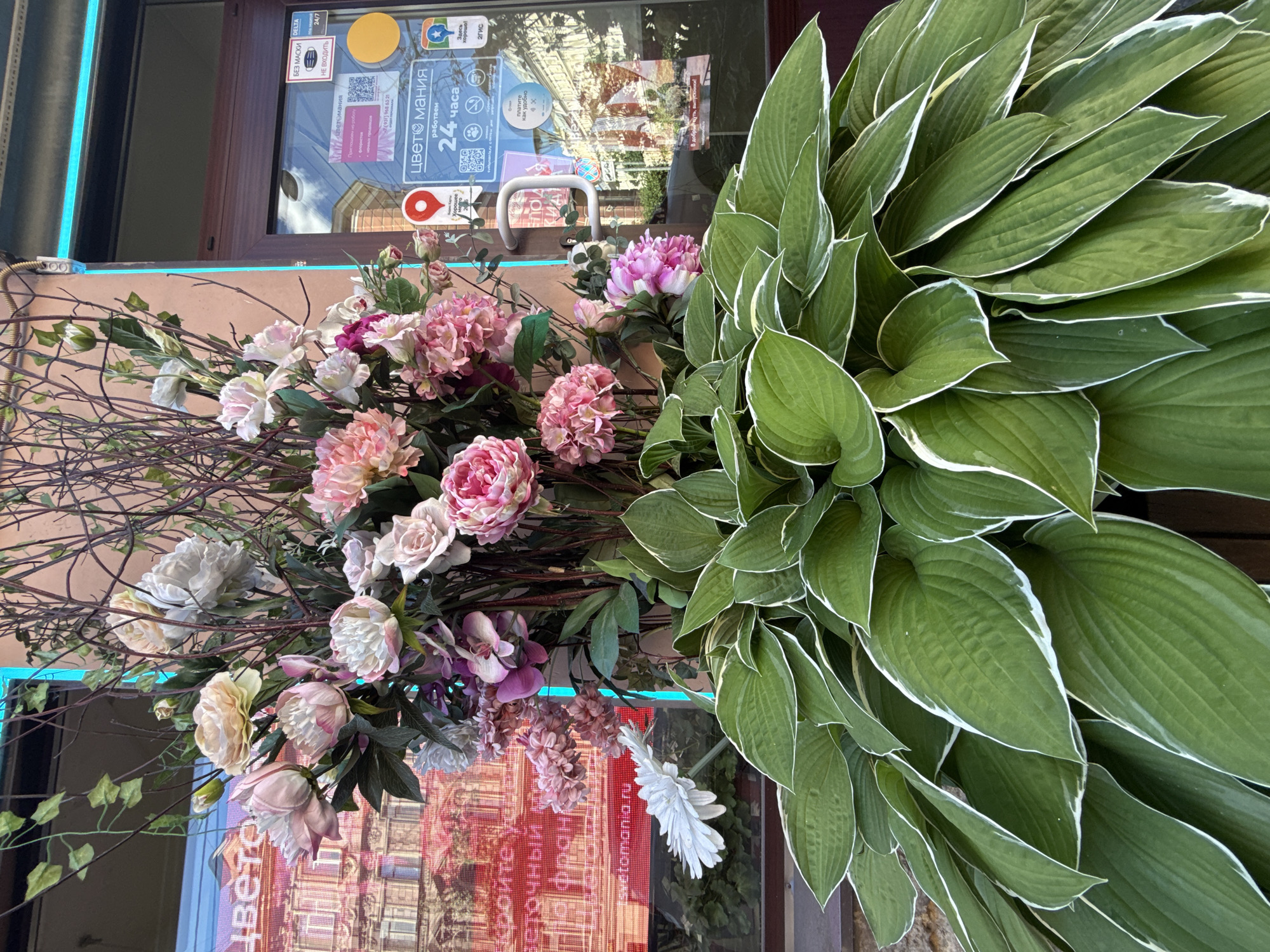 The image shows a floral arrangement outside a shop in Saint Petersburg, Russia. The arrangement consists of large green hosta leaves with white edges and a variety of artificial flowers, including pink and white peonies and roses, and some purple orchids. The shop's window is visible behind the flowers, with a neon blue light strip running along the top edge of the window frame. Text on the window and stickers on the glass indicate that the shop is a flower shop called "Цвет-мания" (Tsvet-mania), which operates 24 hours a day. One sticker advertises "Без маски delta - не входить" (No mask delta - do not enter), suggesting a COVID-19 related regulation. Another sticker shows a map pin and text that translates to "Good mood here". The reflection in the glass shows a building facade. The overall setting appears to be an urban environment in Saint Petersburg.