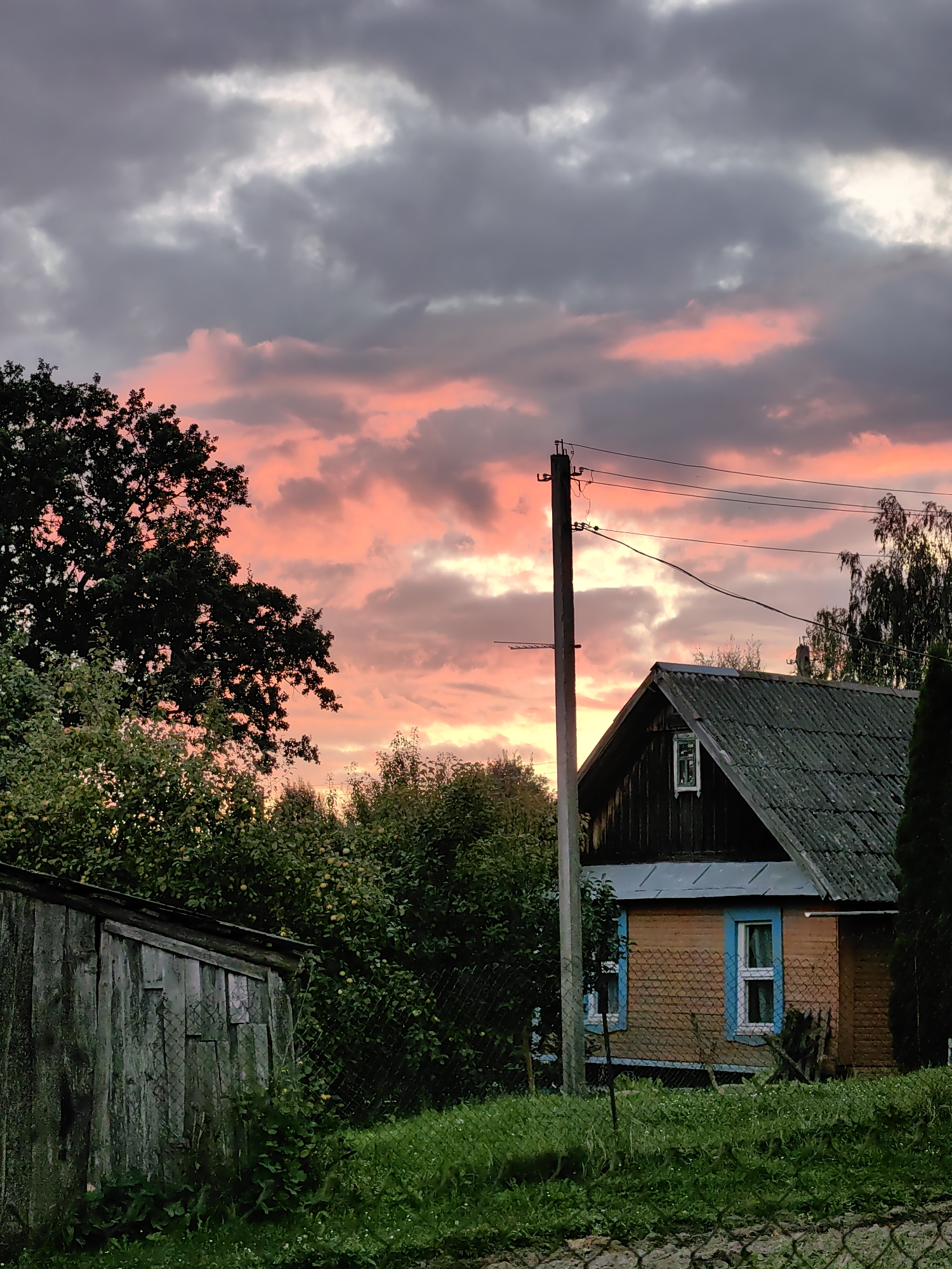 The image depicts a rural scene at dusk in Дзямідавіцкі сельскі Савет, Belarus. The sky is dramatic with clouds reflecting pink and orange hues from the setting sun, contrasting with darker grey clouds. In the foreground, a weathered wooden shed is on the left, partially obscured by lush green grass and foliage. To the right, a rustic house with a dark-pitched roof and light-brown wooden siding is visible. The house features blue-trimmed windows. A utility pole with electrical wires stands prominently between the shed and the house. Trees and dense green bushes surround the property, with the dark silhouette of a large tree on the far left. The overall impression is a serene, twilight view of a Belarusian countryside dwelling.