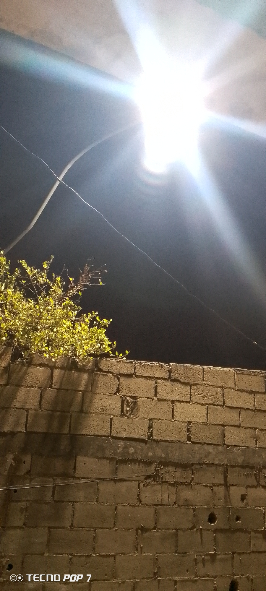 The image depicts a nighttime scene in what appears to be a residential area of Altagracia, Venezuela. A bright light source, possibly a street lamp, illuminates the sky. Below the light, a section of a brick or concrete block wall is visible. A small, leafy plant or bush is growing on top of the wall. A few thin wires are stretched across the sky in the upper portion of the image. The environment suggests a somewhat neglected or underdeveloped setting. The photo was taken with a TECNO POP 7 mobile phone, as indicated by the watermark on the bottom left corner.