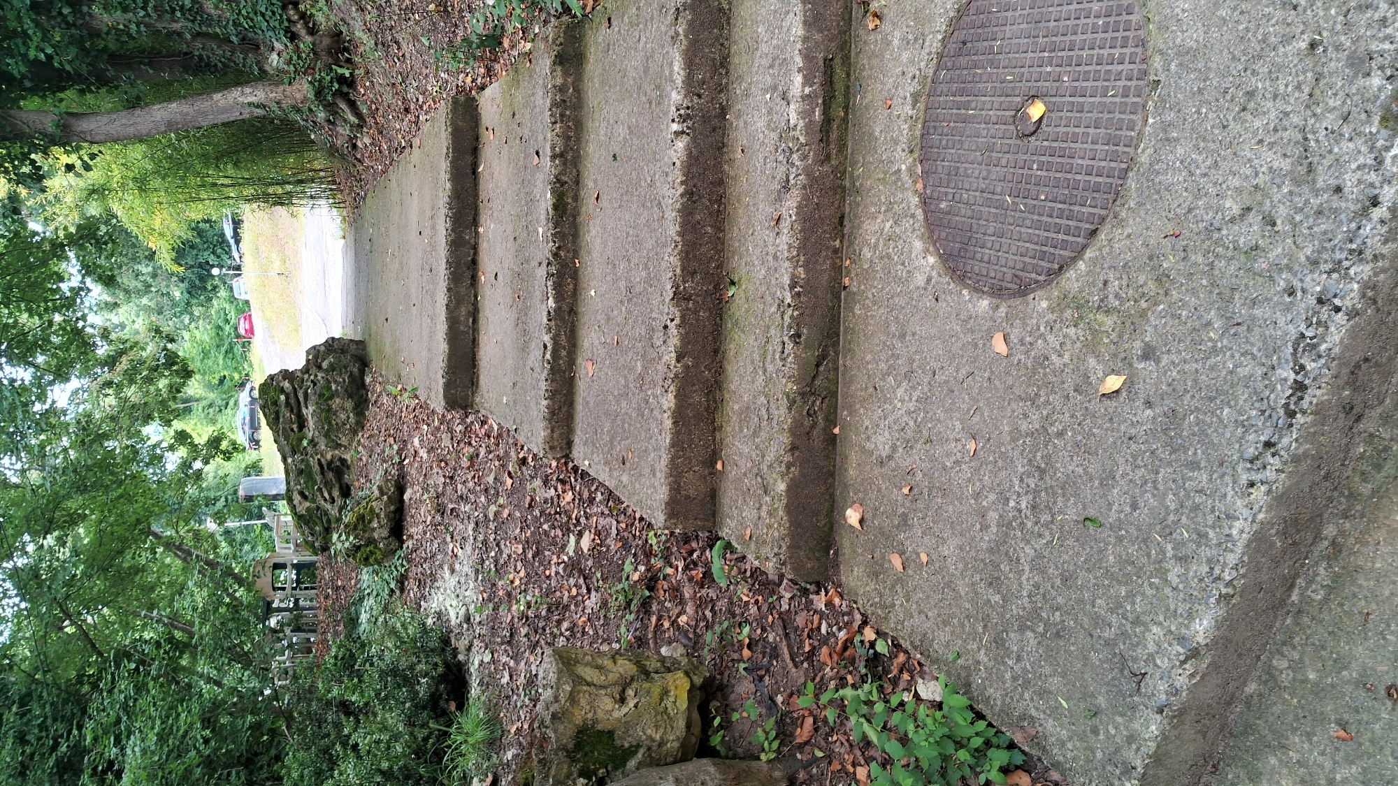 A concrete staircase leads up a slight incline in a park-like setting. The stairs are weathered and show signs of age, with moss and fallen leaves on their surfaces. To the left of the stairs, the ground is covered in dry leaves and dirt, with some rocks and green foliage. A stone structure with moss is visible on the left. To the right of the stairs, a dense cluster of bamboo and a large tree with ivy growing on it are present. In the background, a paved area with cars parked on it is visible, suggesting a road or parking lot. The scene appears to be an outdoor public space. This location is the Varna City Sea Garden, Varna, Bulgaria.