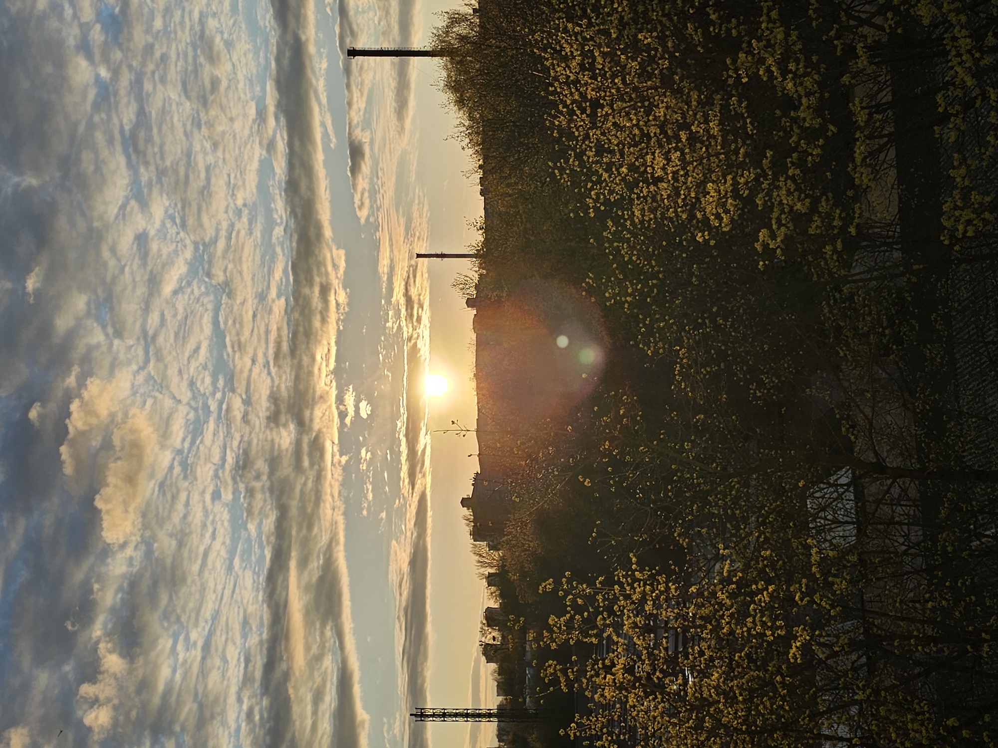 This media file captures a picturesque sunset over an urban or industrial landscape in Khimki, Russia. The sun, a brilliant yellow-orange disc, is setting near the horizon, casting a warm glow across the scene and creating a strong lens flare effect.
The sky is a prominent feature, transitioning from bright oranges and yellows near the sun to soft blues and whites higher up, filled with fluffy, textured clouds that catch the last rays of sunlight. The clouds exhibit varying densities, appearing wispy in some areas and more substantial in others.
Silhouetted against the vibrant sky is the distant skyline of a city or industrial area. Several buildings and structures are visible as dark shapes, including two distinctive tall, dark chimneys or industrial towers that rise prominently above the horizon on the left side of the frame. In the foreground and extending along the right side, dense foliage of trees with bright yellowish-green leaves, possibly flowering in spring, creates a dark, textured silhouette. These trees are illuminated from behind by the setting sun, making their details somewhat obscure but highlighting the fresh spring growth.
No people are visible, and no specific activities are taking place other than the natural phenomenon of the sunset. The scene evokes a tranquil and contemplative mood, typical of dusk. There is no visible text in the image.